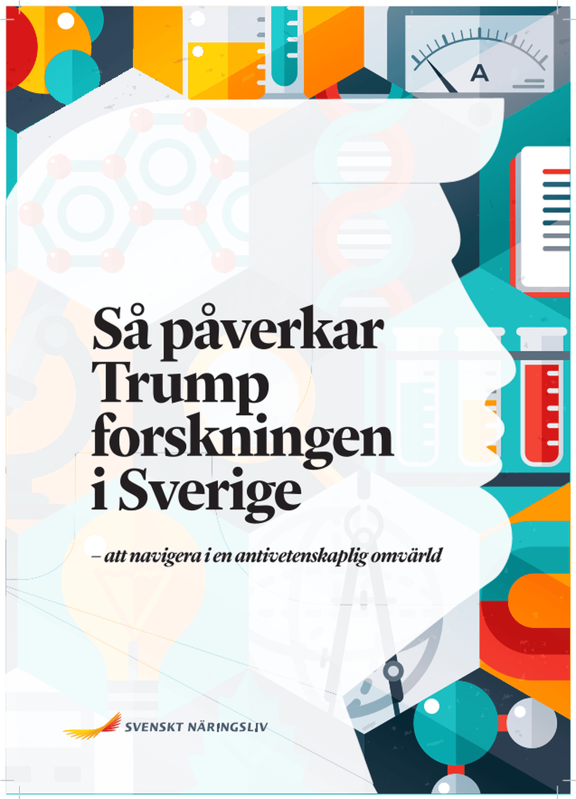 Omslagsbild - Rapport