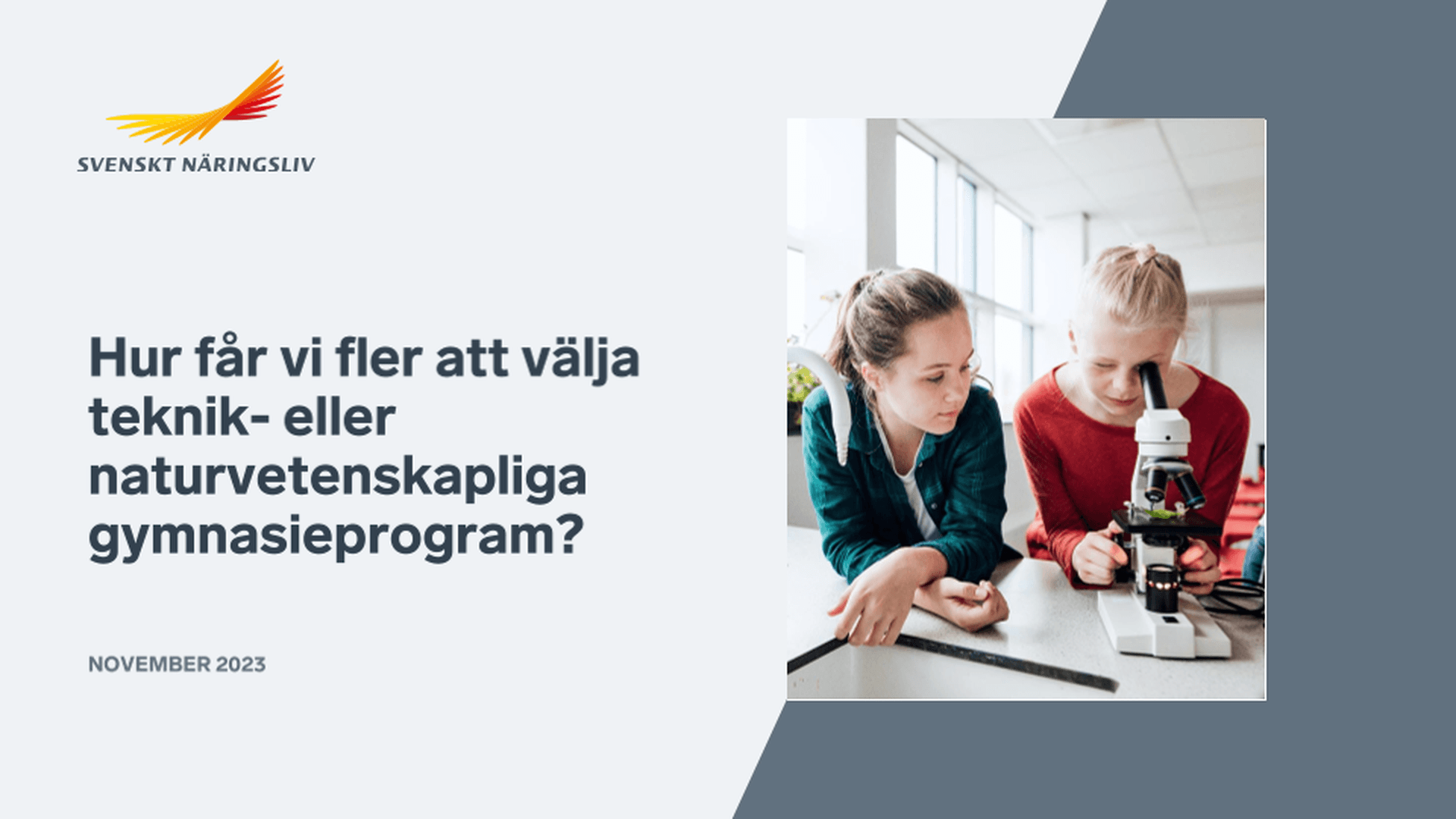 Omslagsbild - Rapport