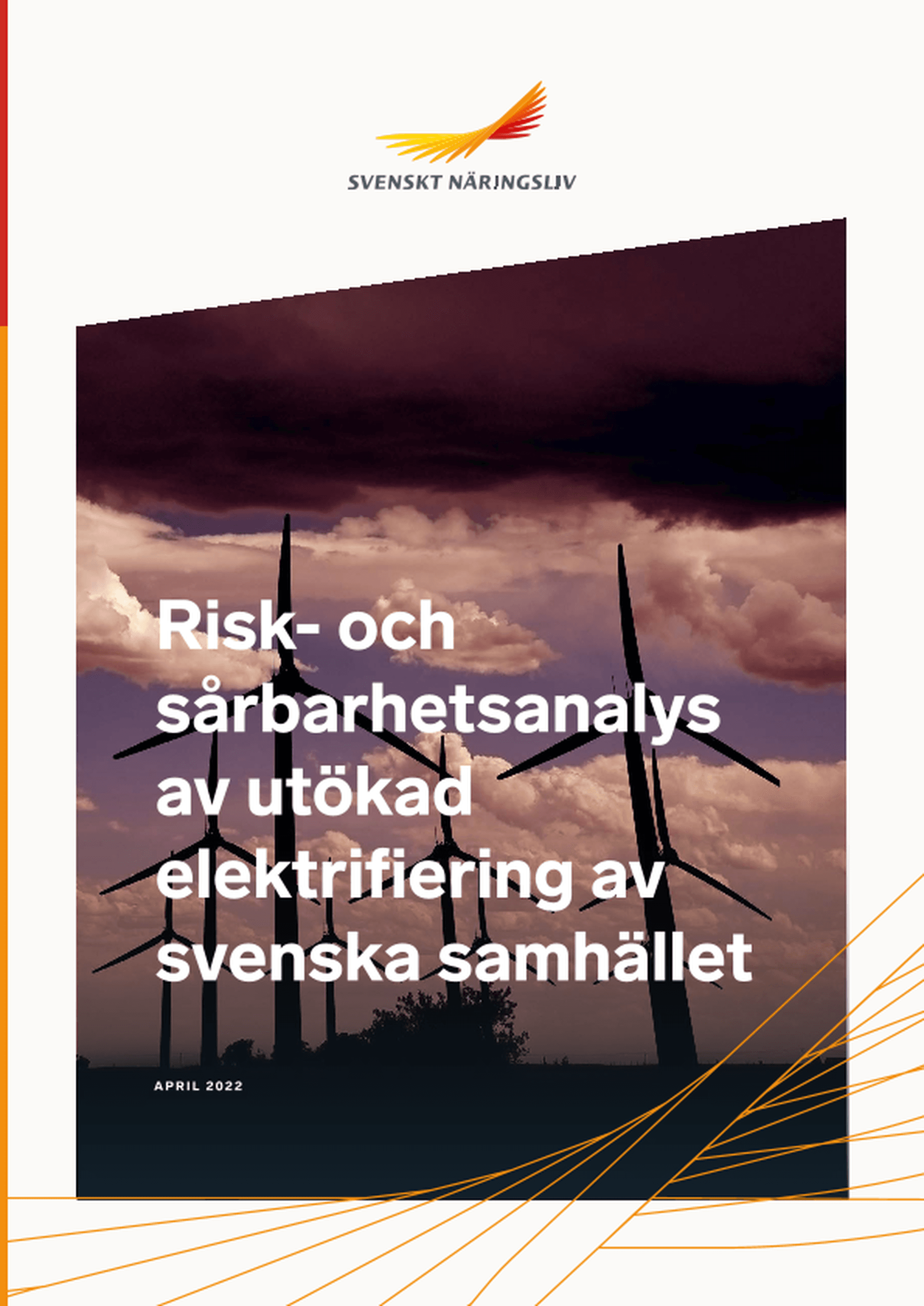 Omslagsbild - Rapport