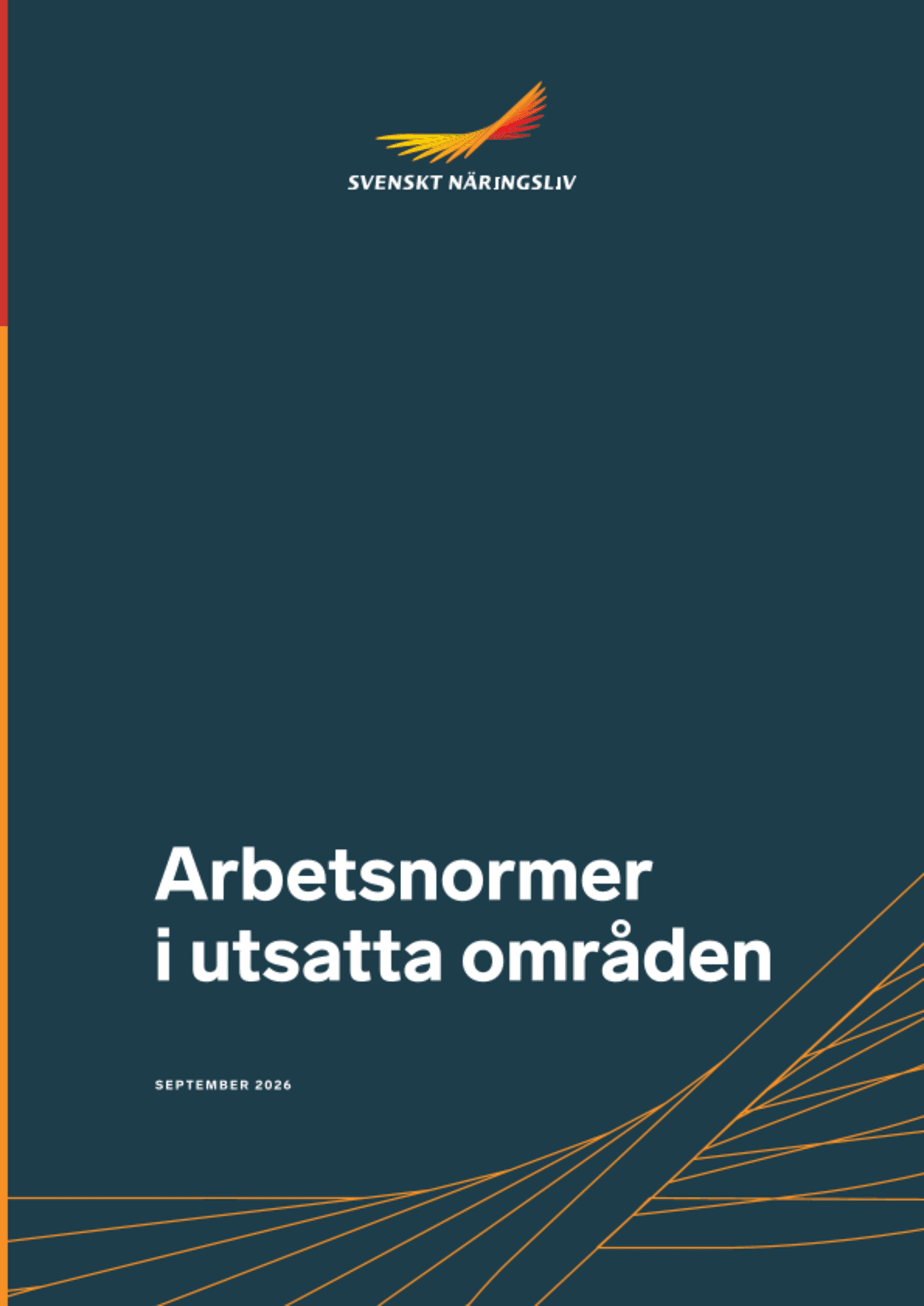 Omslagsbild - Rapport