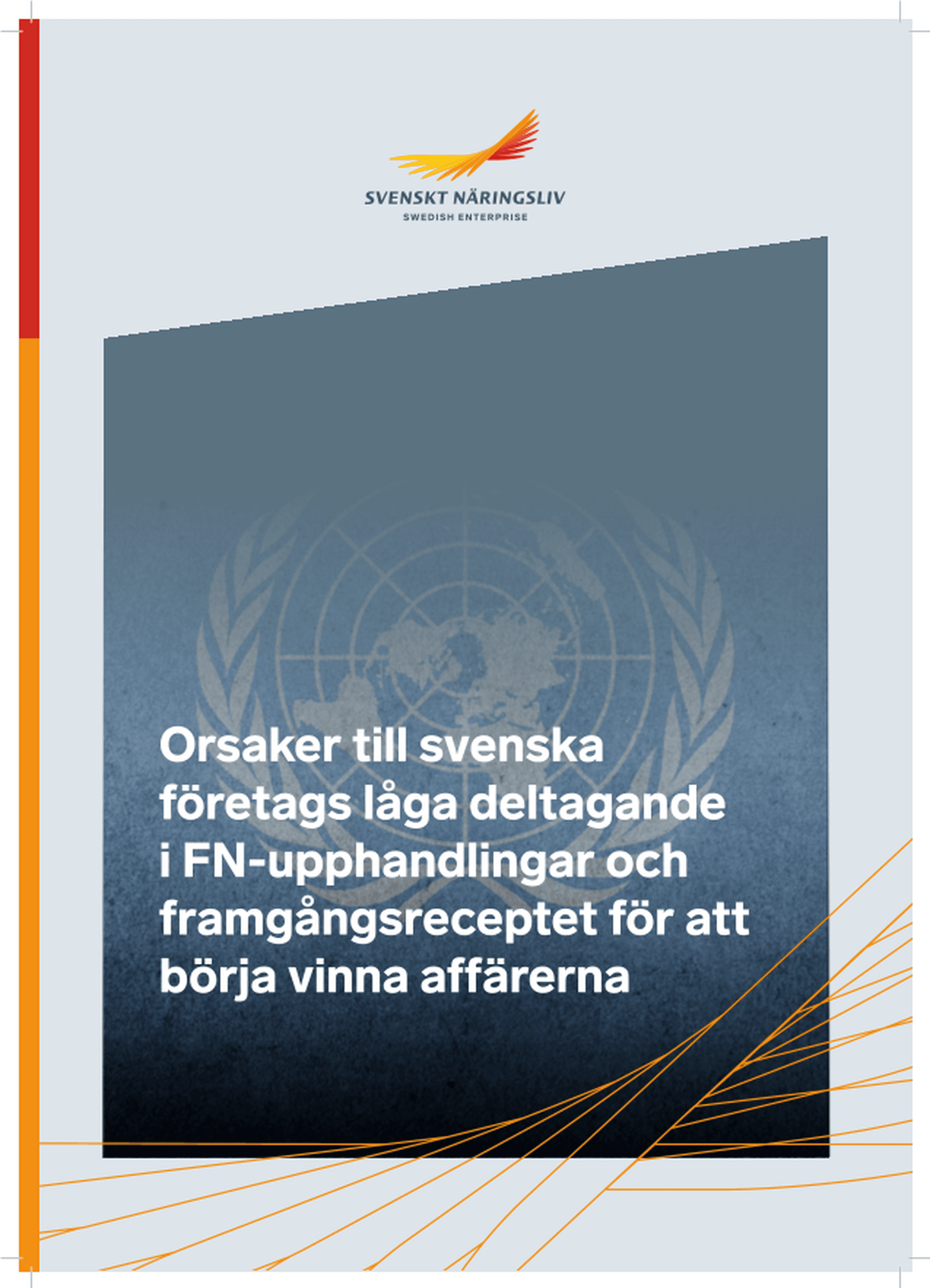 Omslagsbild - Rapport