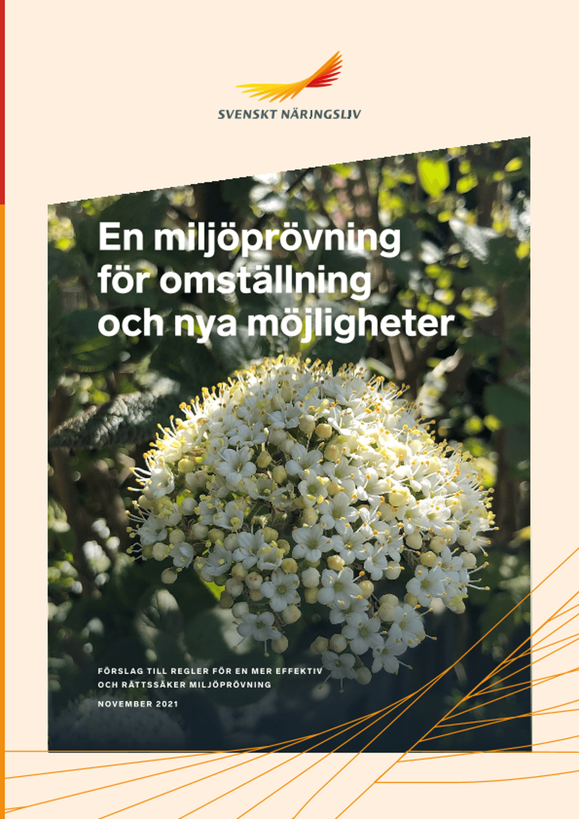 Omslagsbild - Rapport