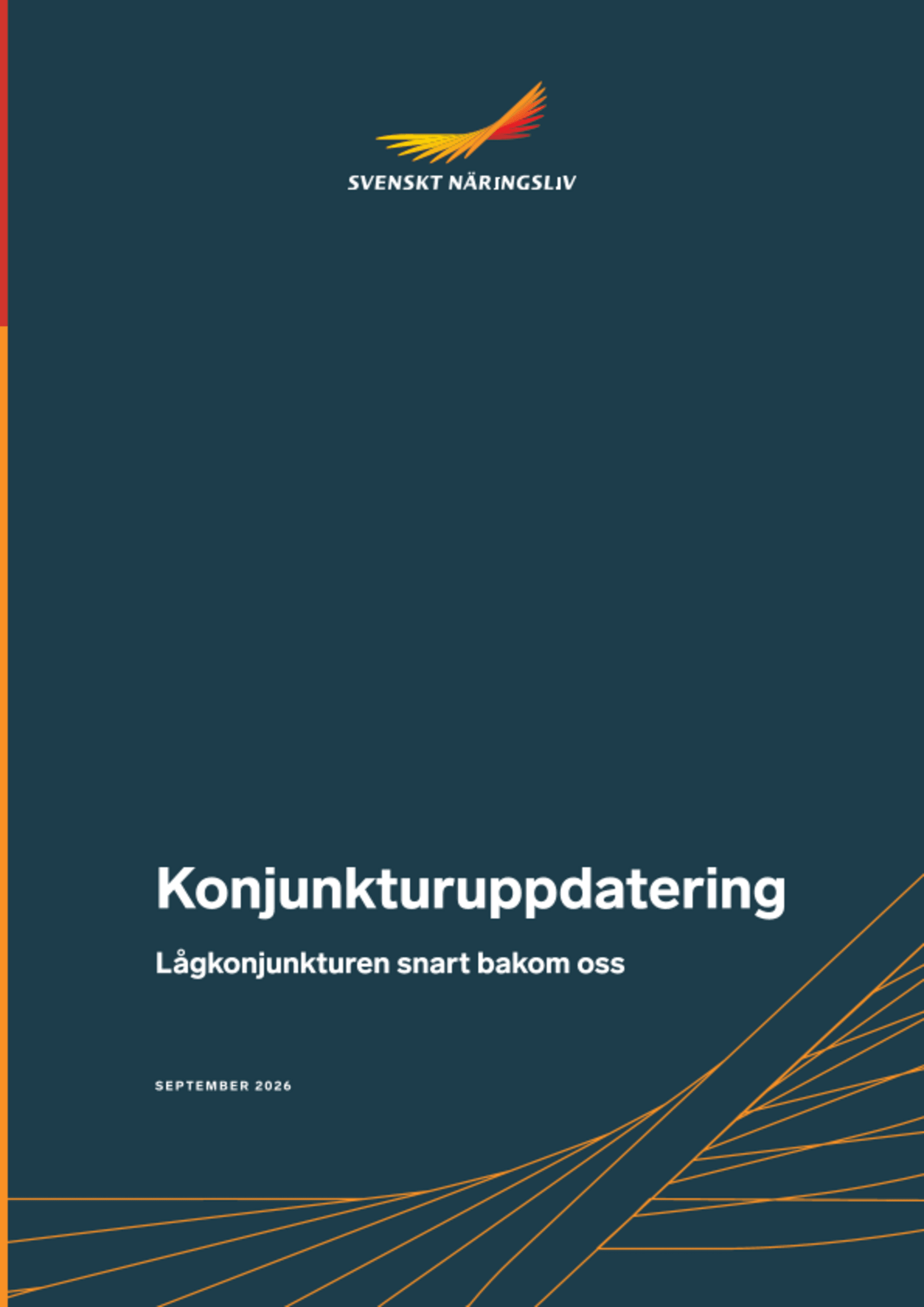 Omslagsbild - Rapport