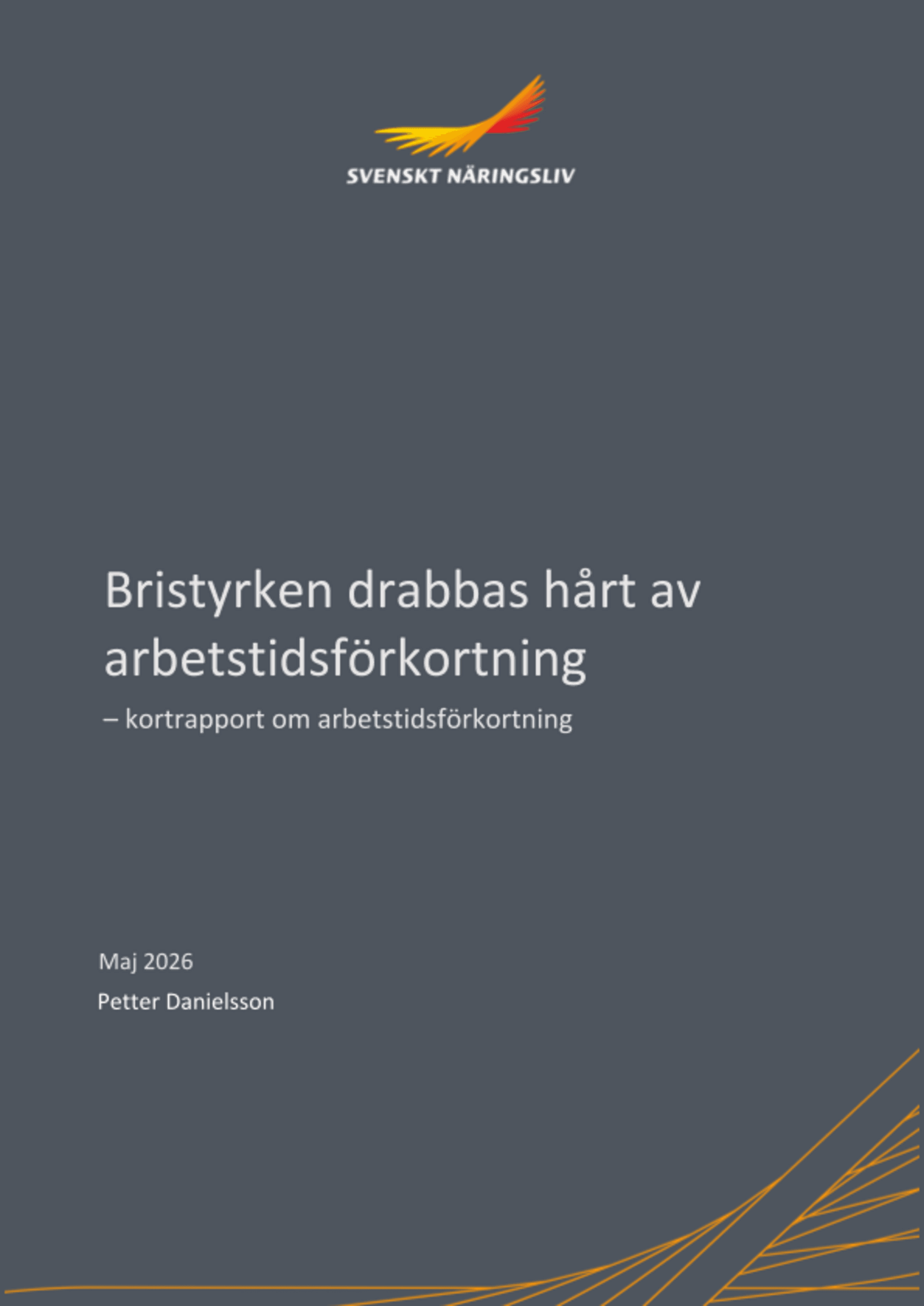 Omslagsbild - Rapport