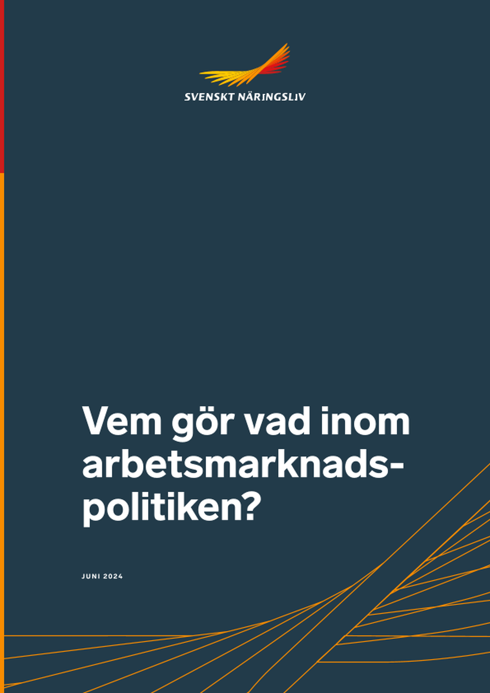 Omslagsbild - Rapport