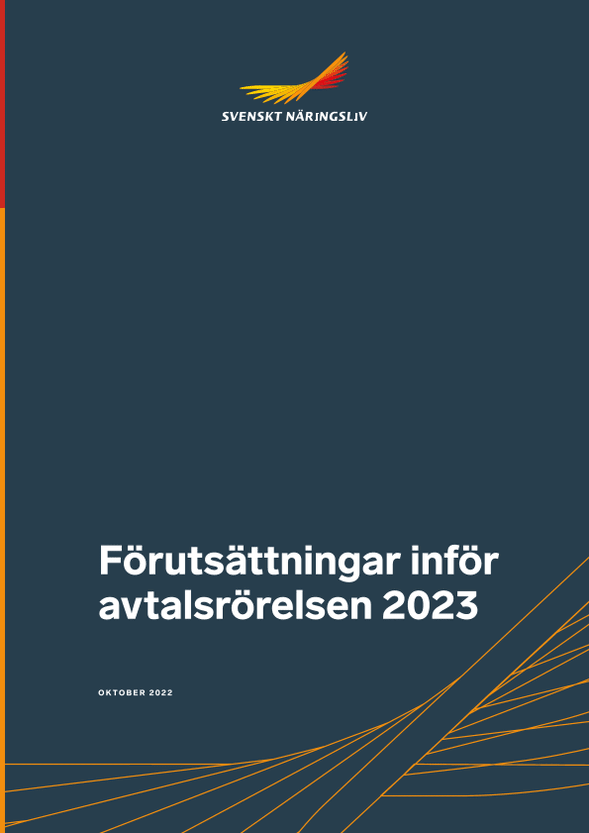 Omslagsbild - Rapport