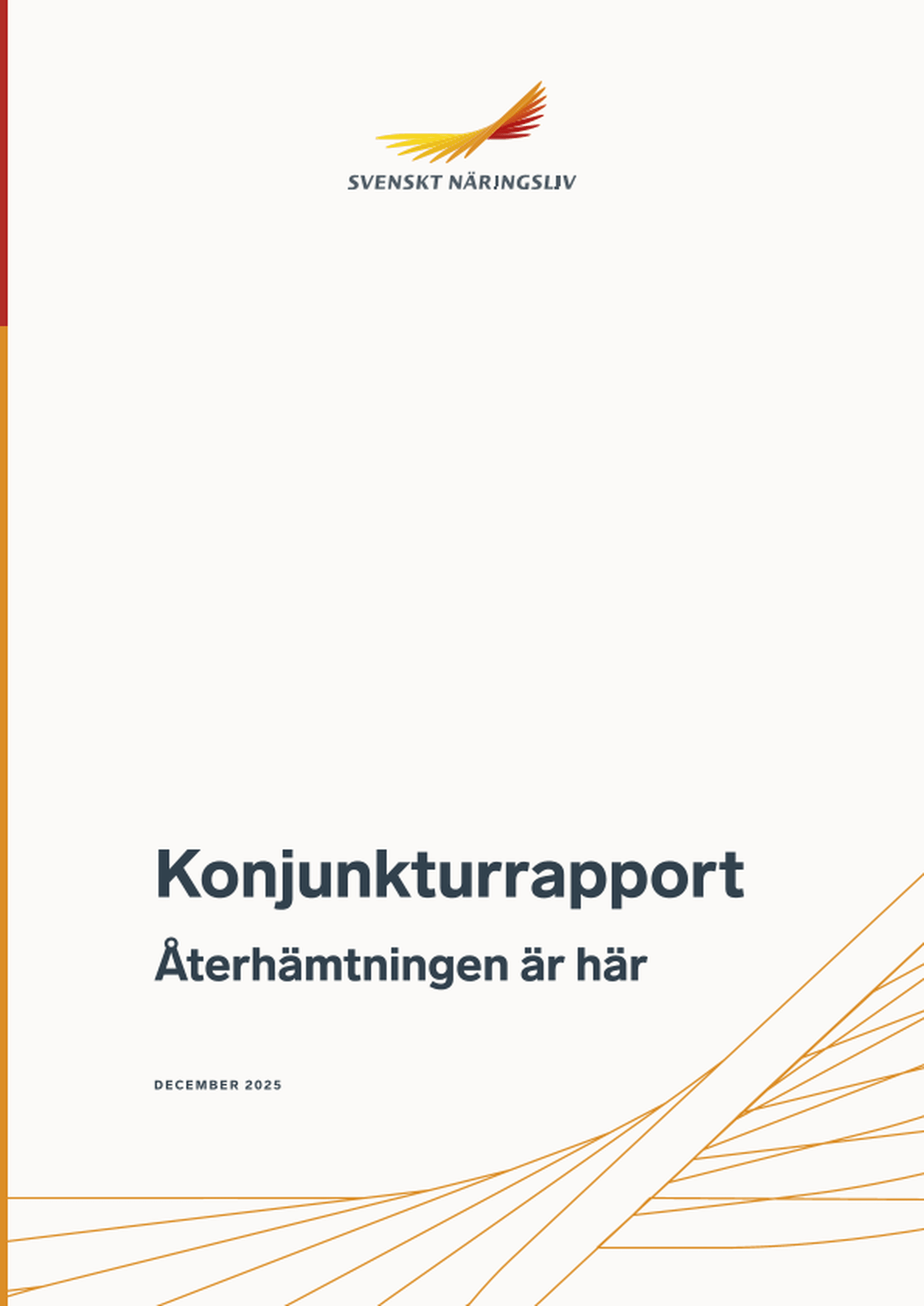 Omslagsbild - Rapport