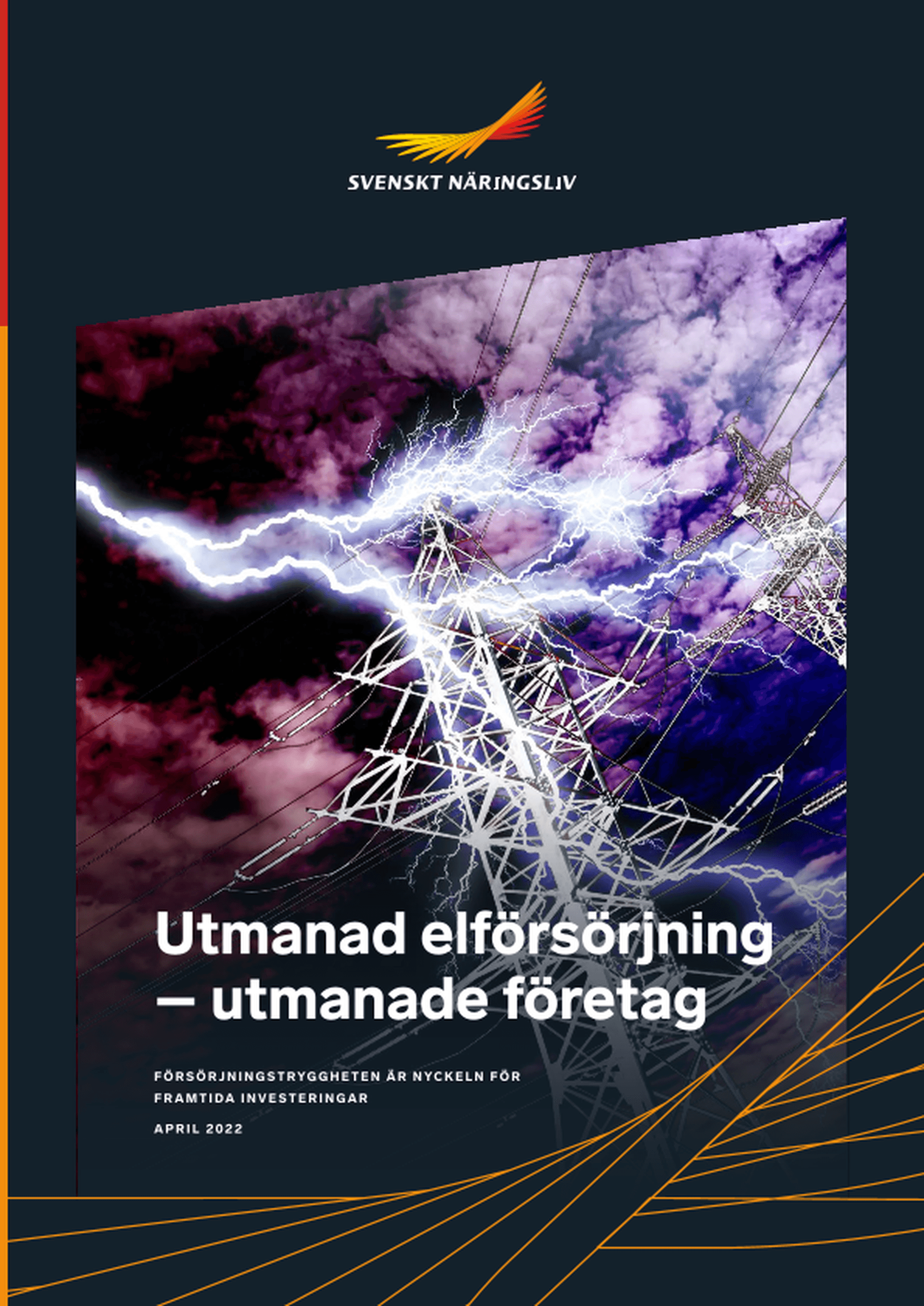 Omslagsbild - Rapport