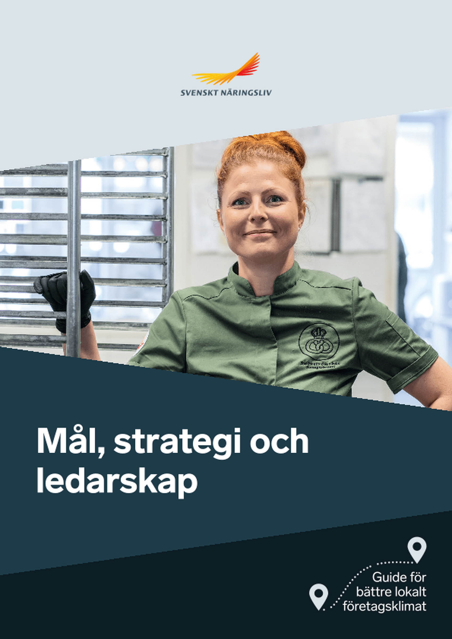 Omslagsbild - Rapport