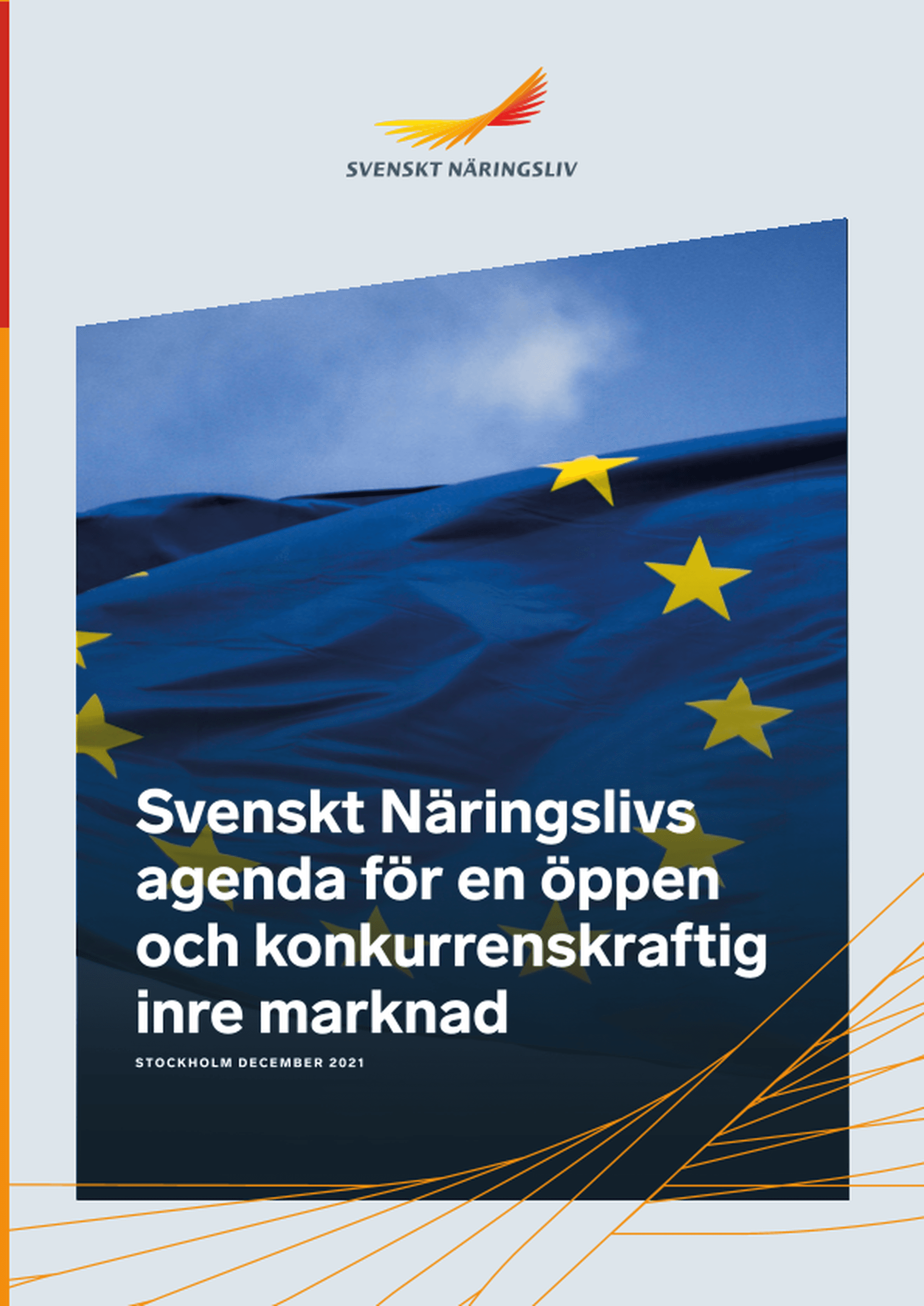 Omslagsbild - Rapport