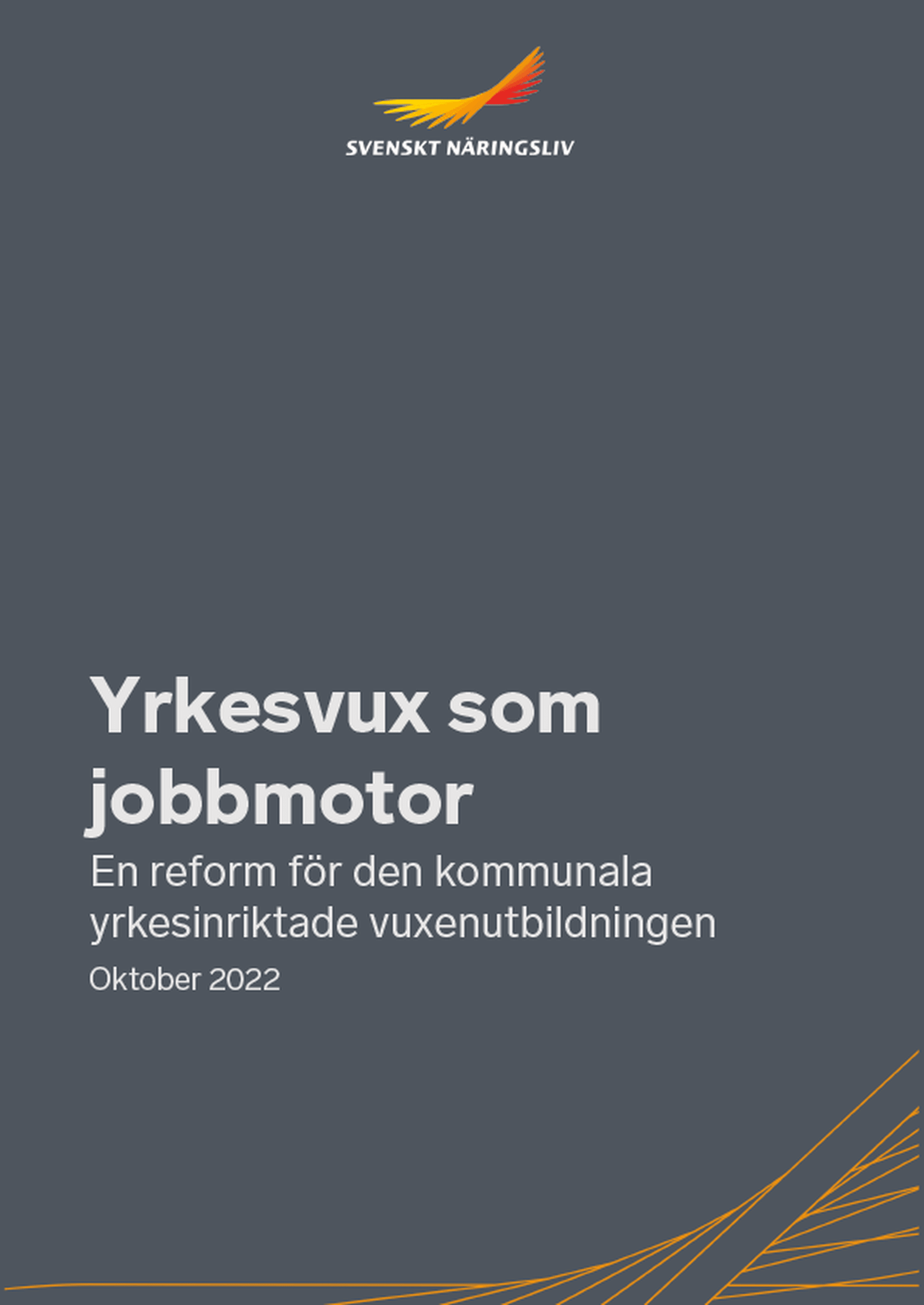 Omslagsbild - Rapport