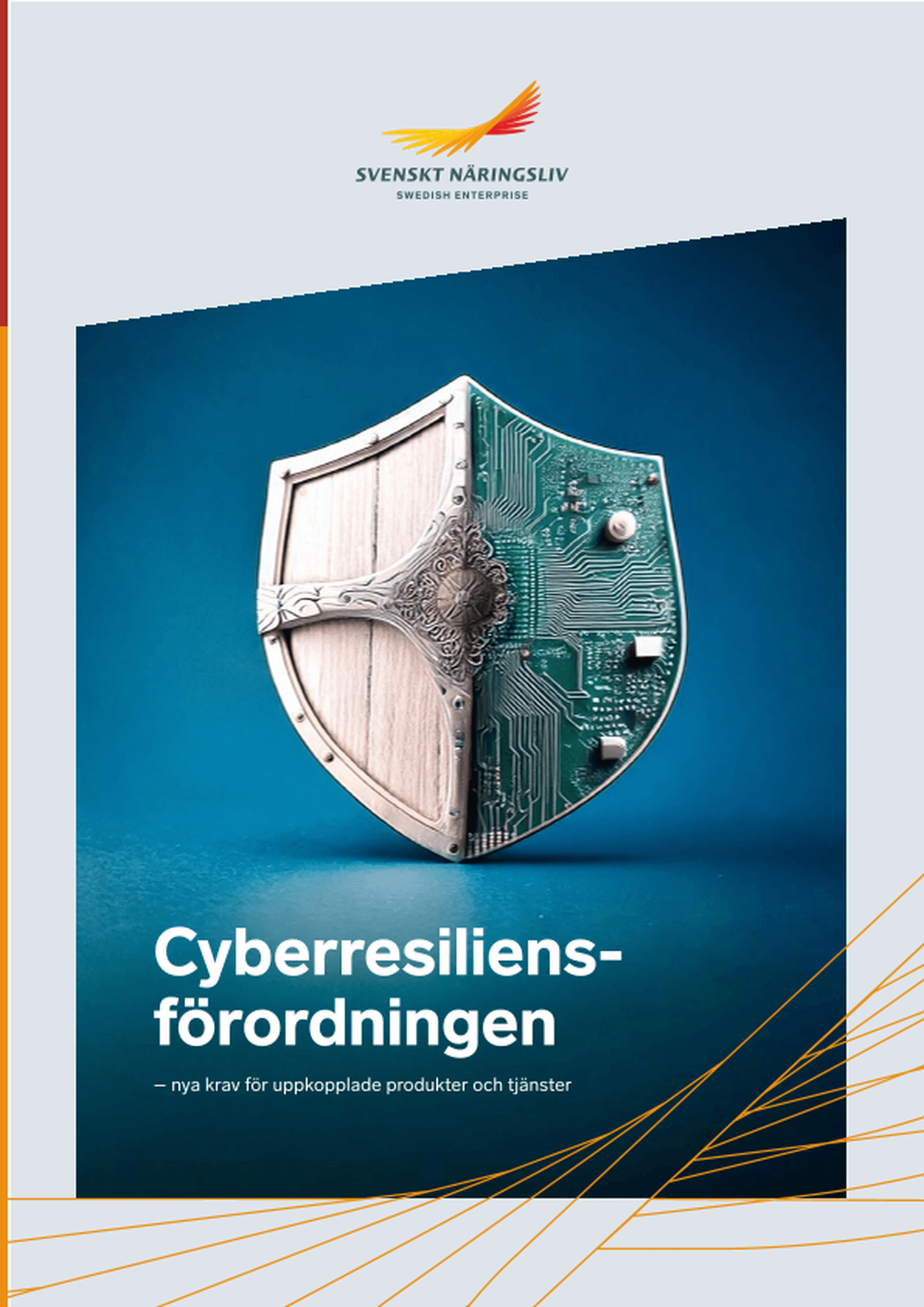 Omslagsbild - Rapport