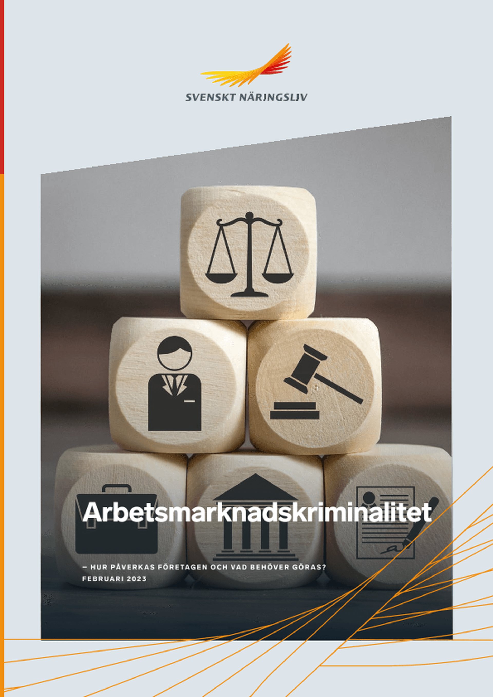 Omslagsbild - Rapport