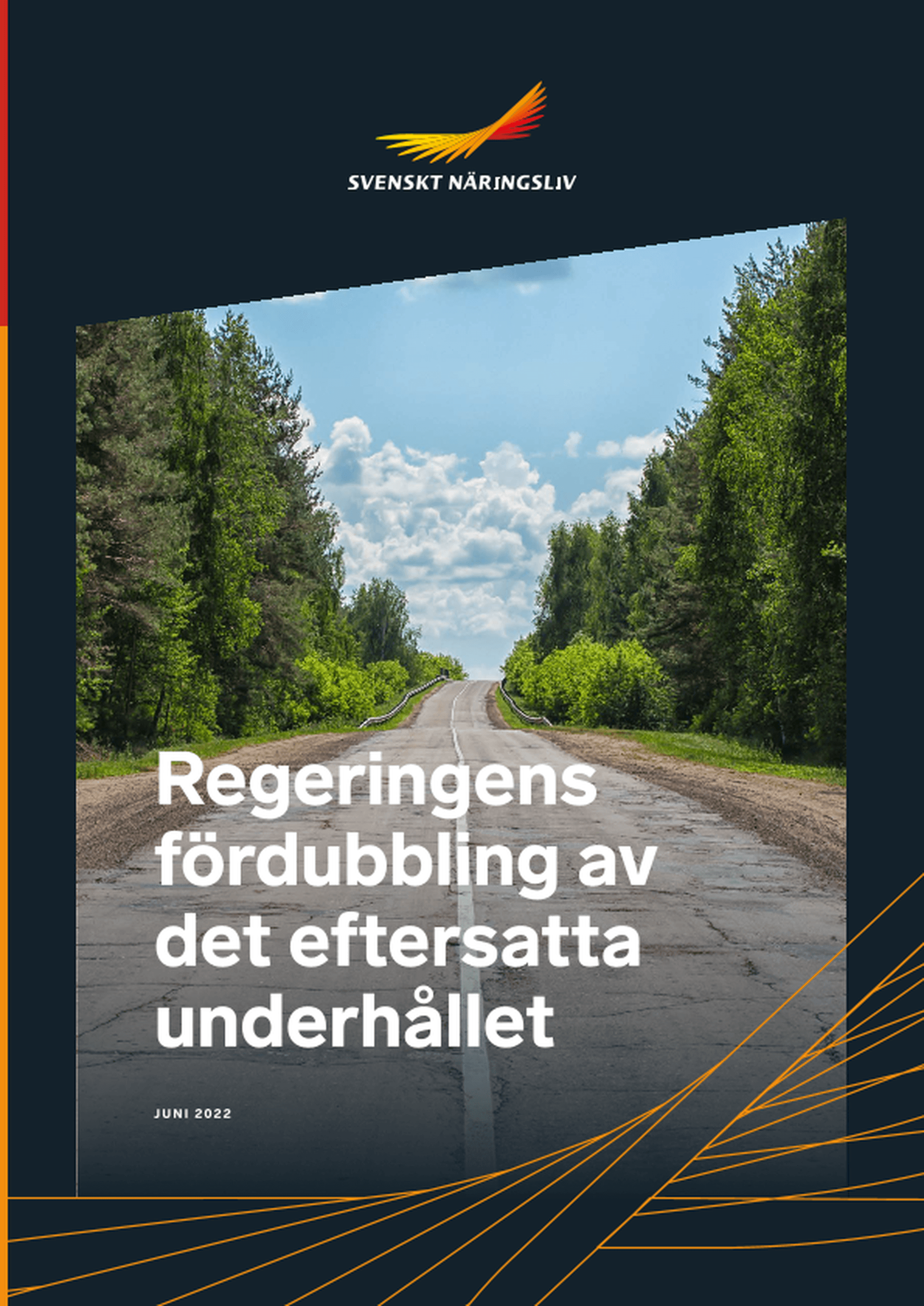 Omslagsbild - Rapport