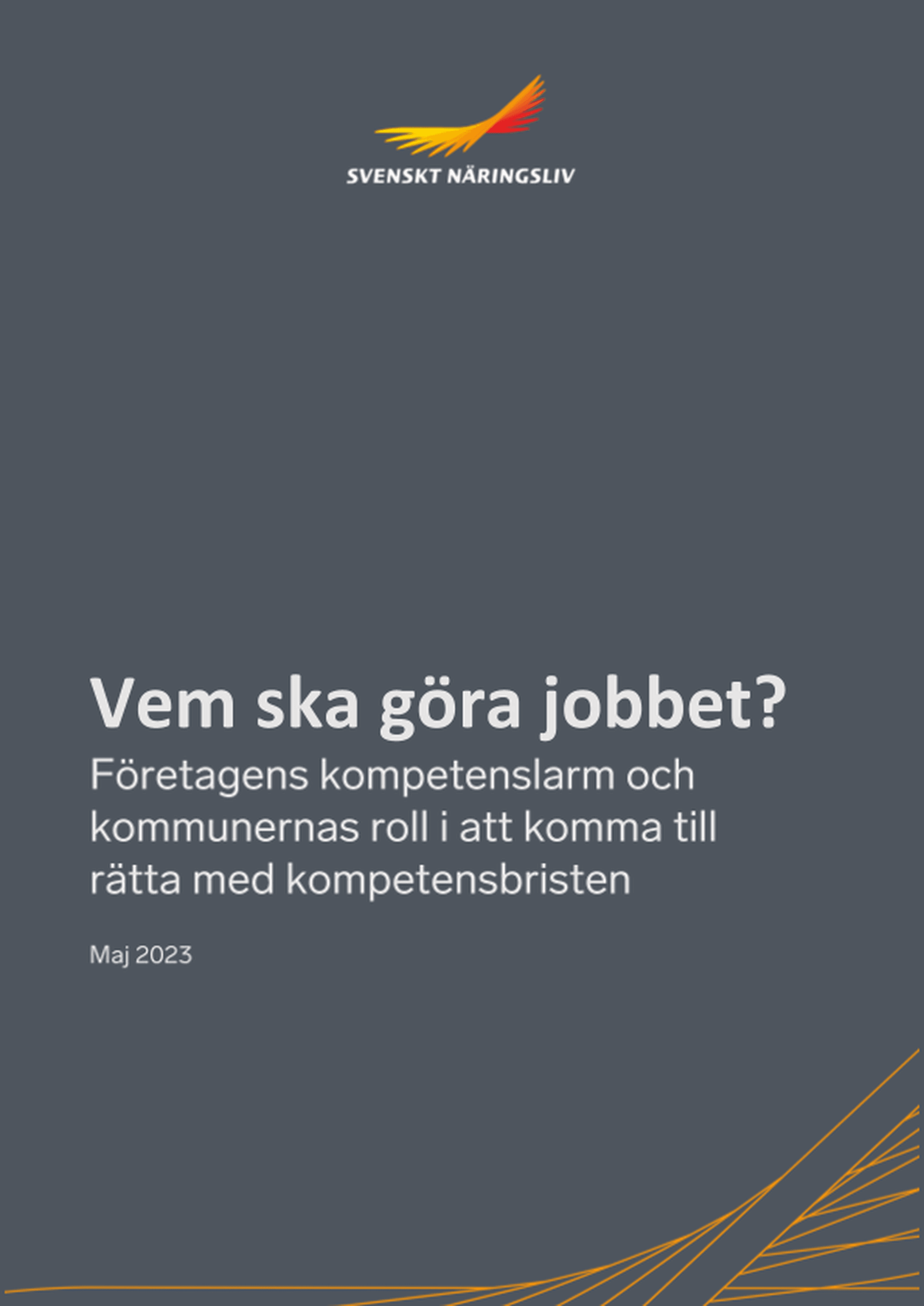 Omslagsbild - Rapport