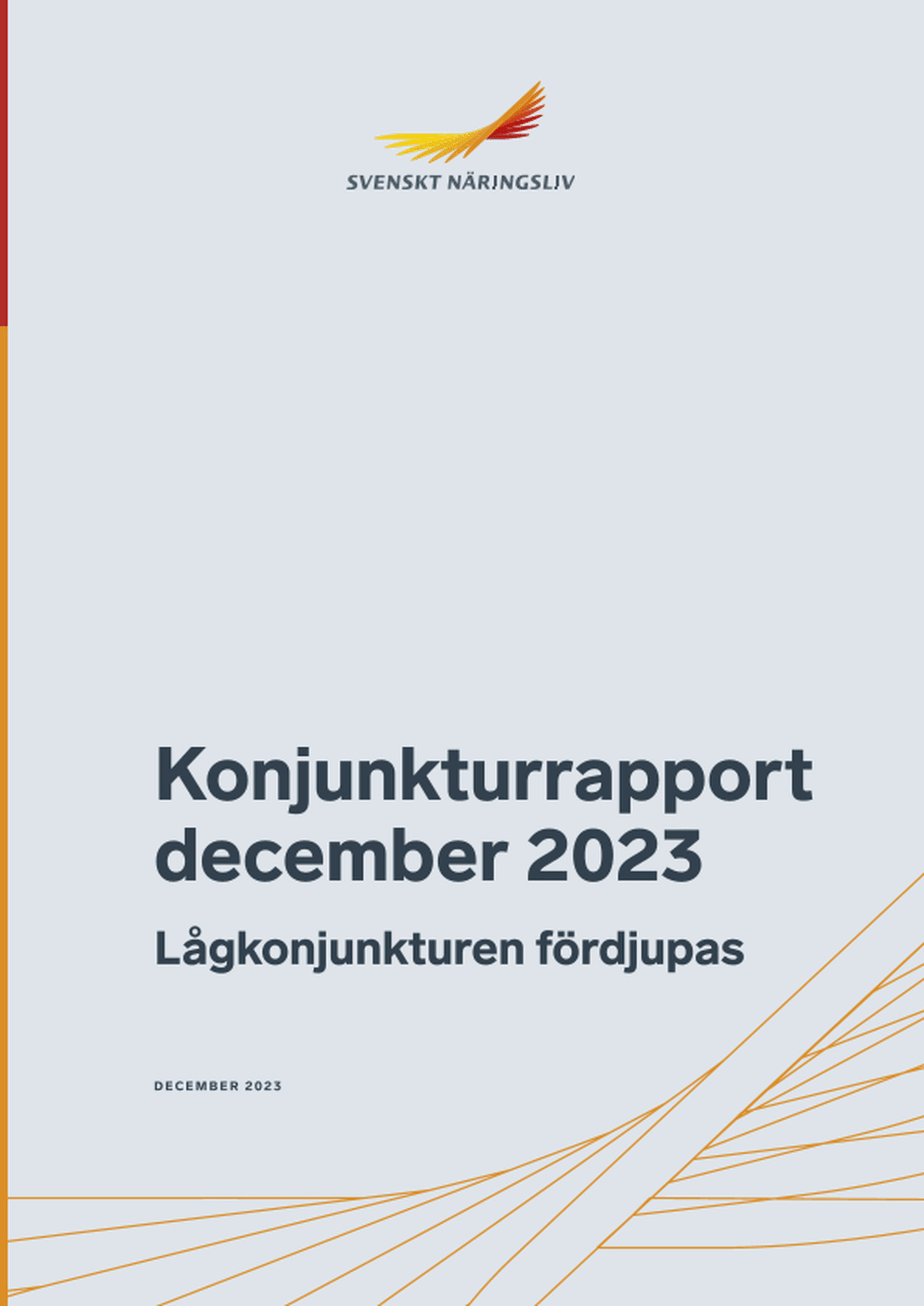 Omslagsbild - Rapport