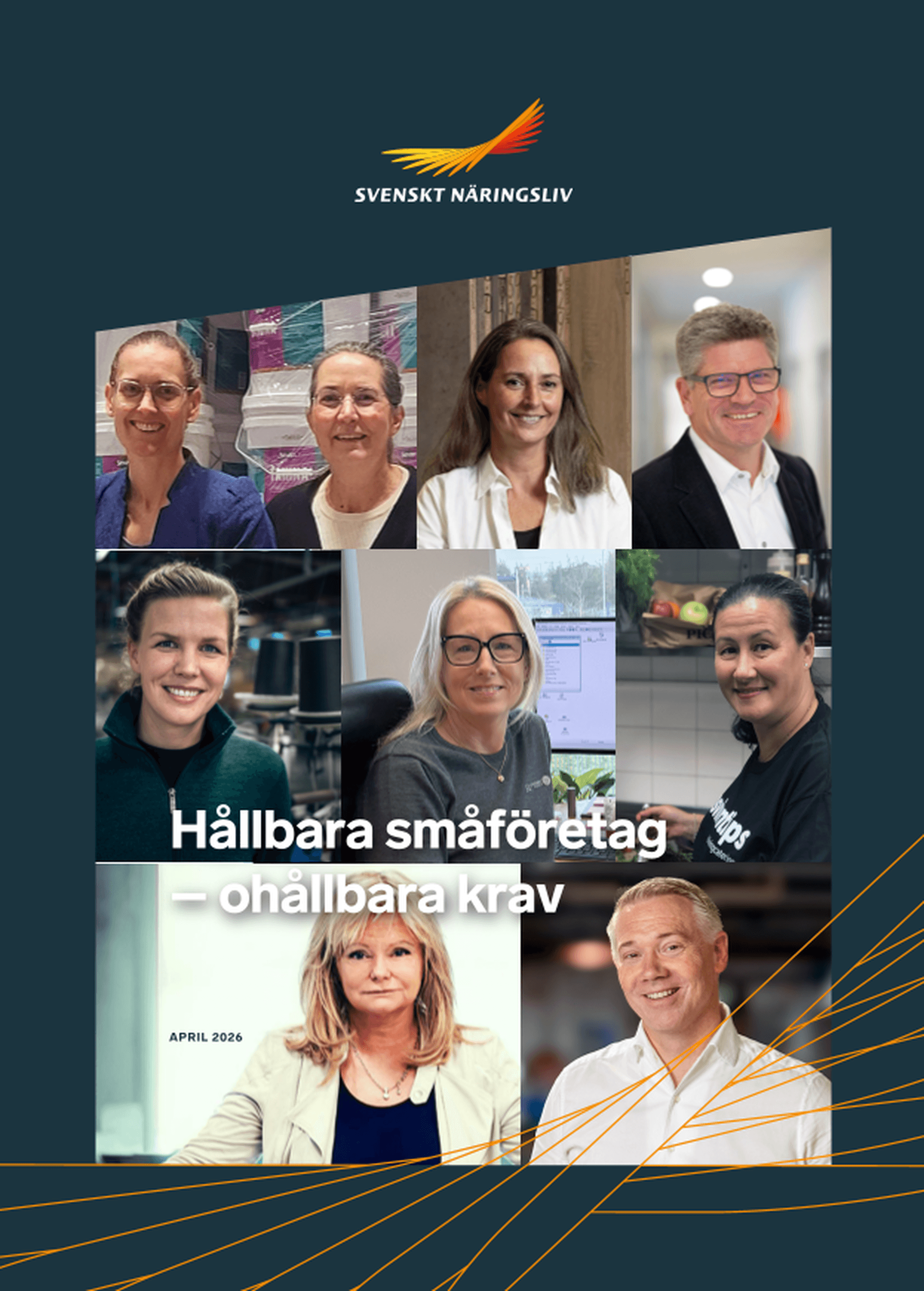 Omslagsbild - Rapport