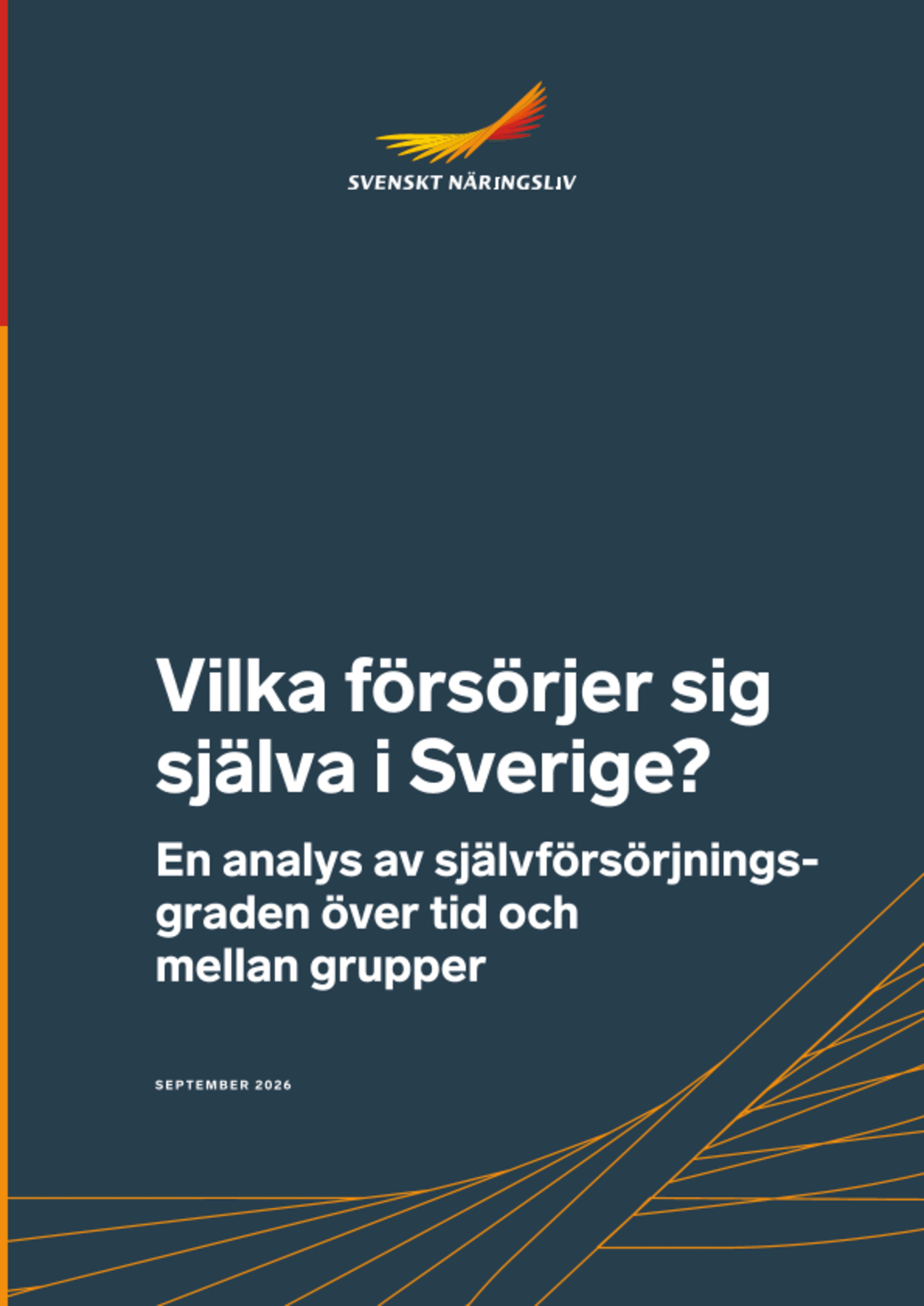 Omslagsbild - Rapport