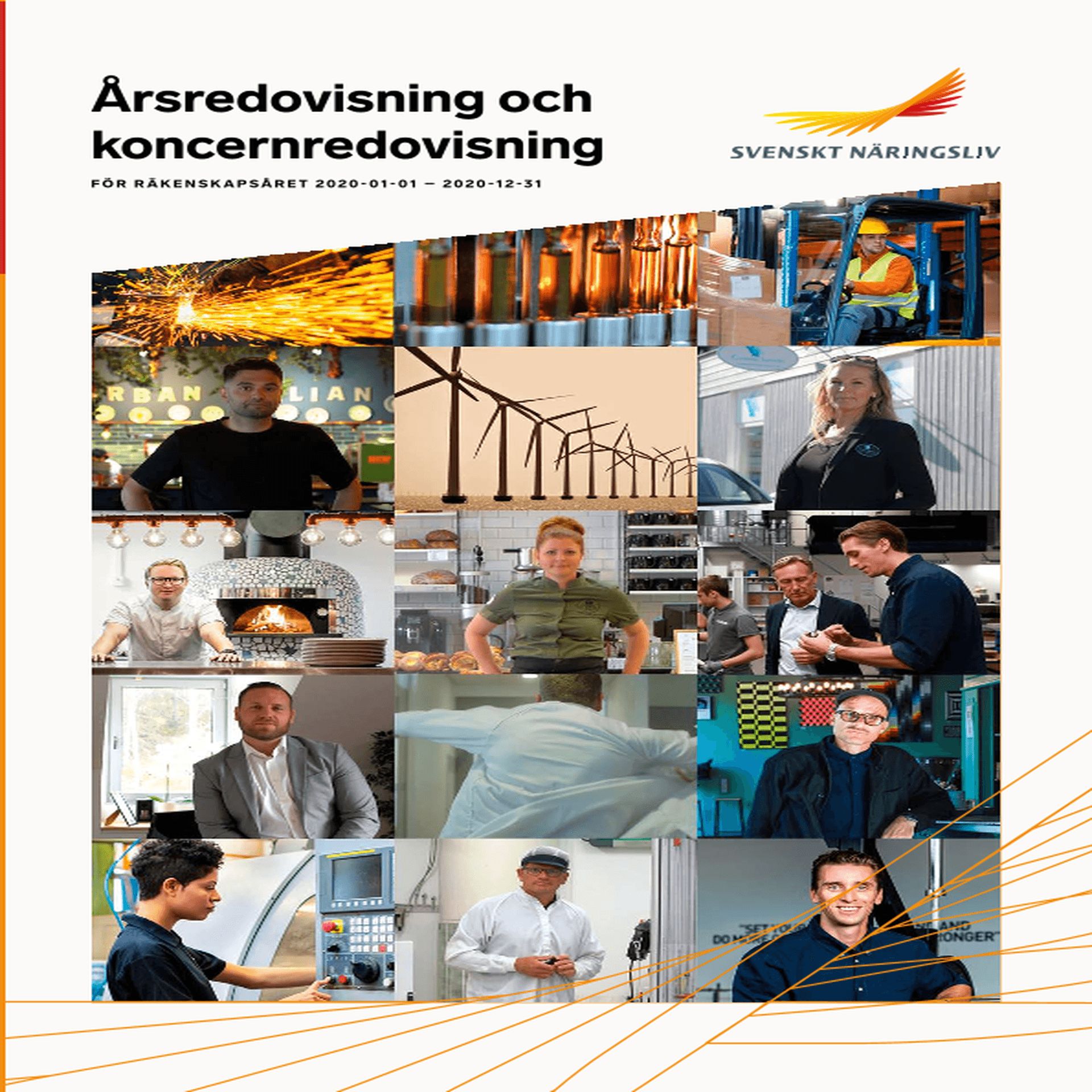 Omslagsbild - Rapport