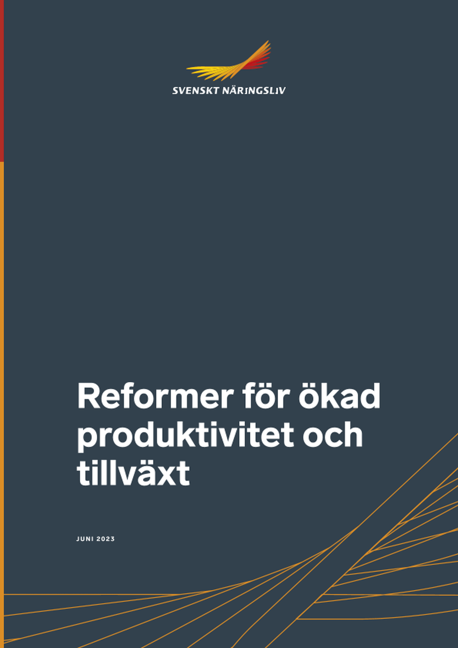 Omslagsbild - Rapport