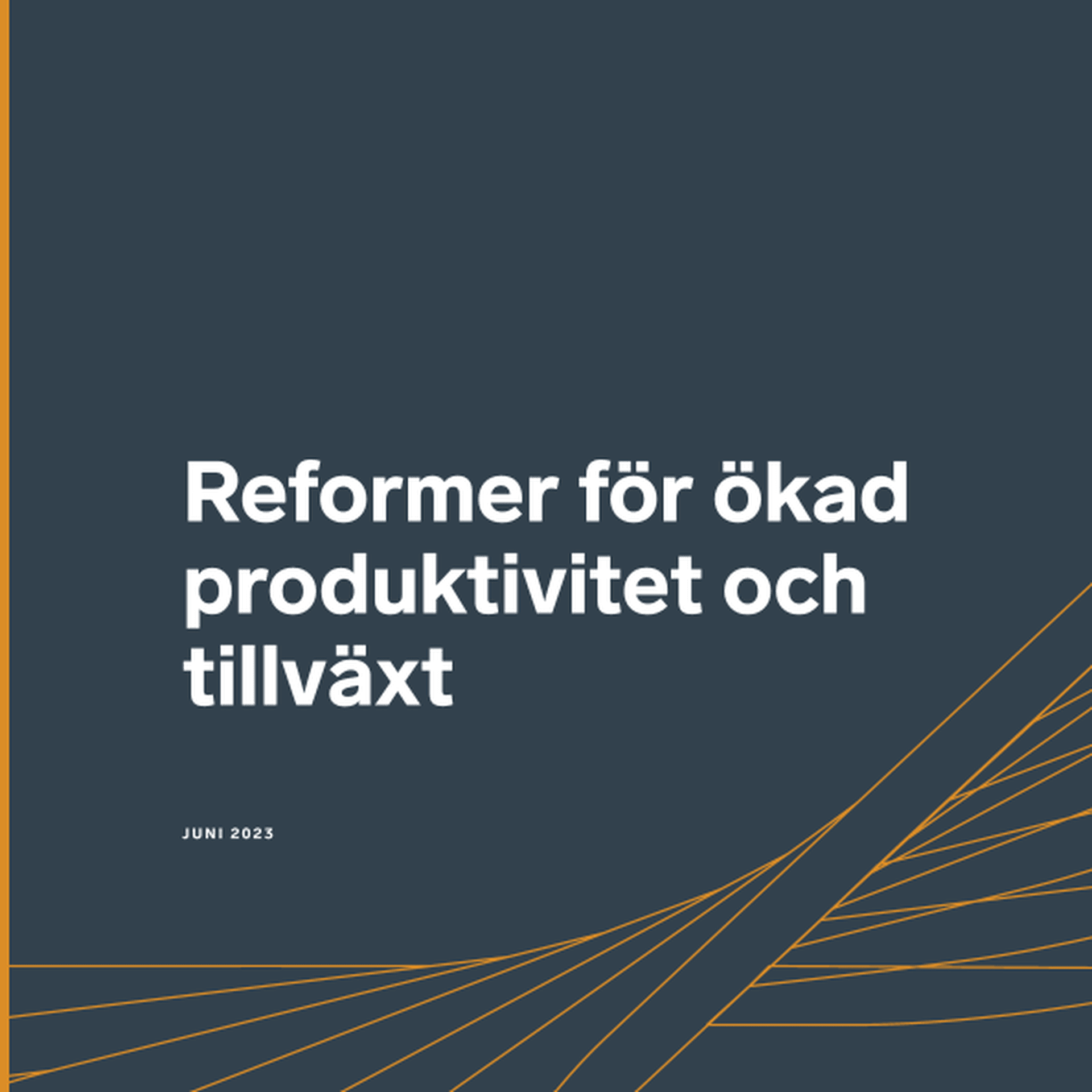 Omslagsbild - Rapport