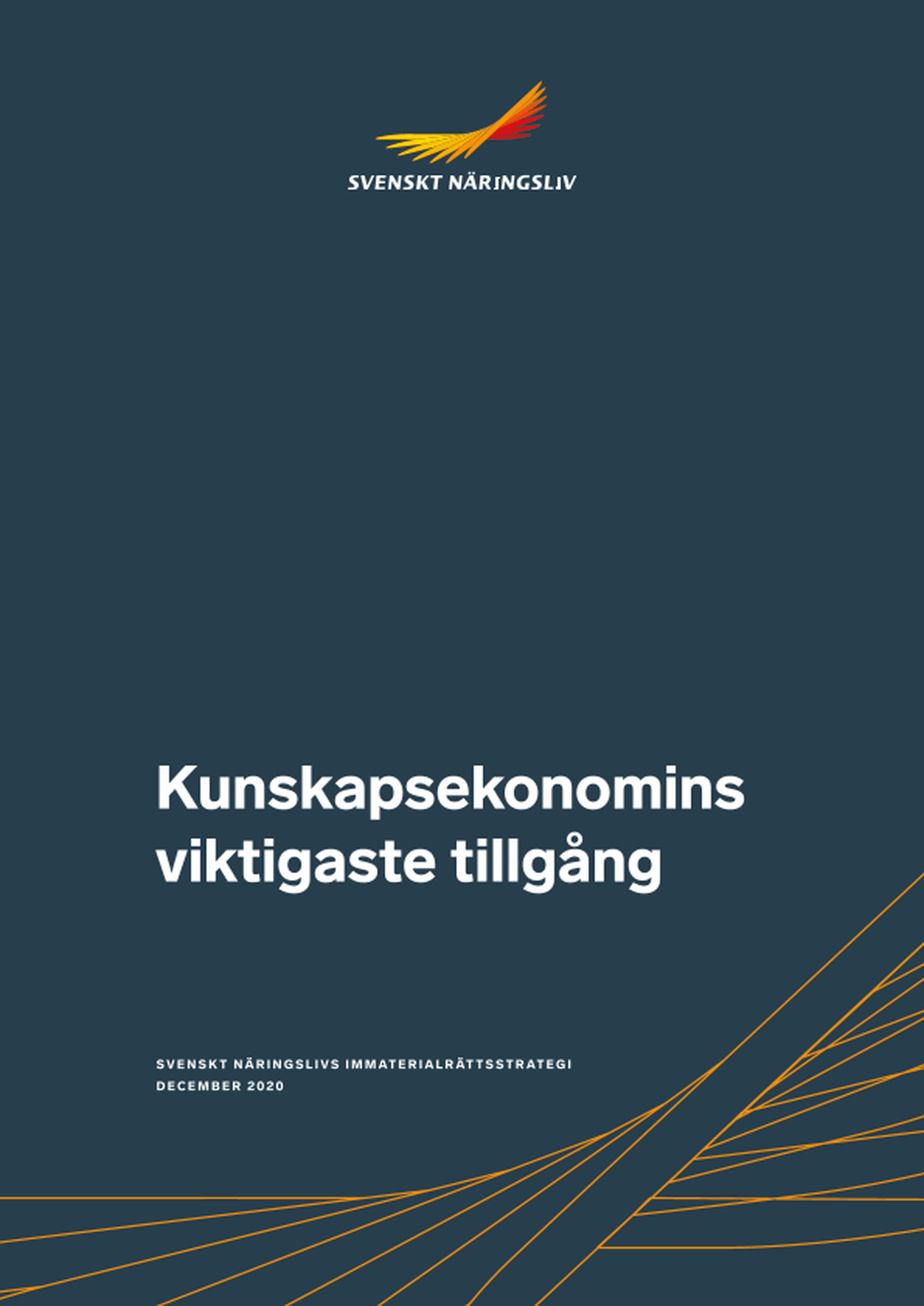 Omslagsbild - Rapport