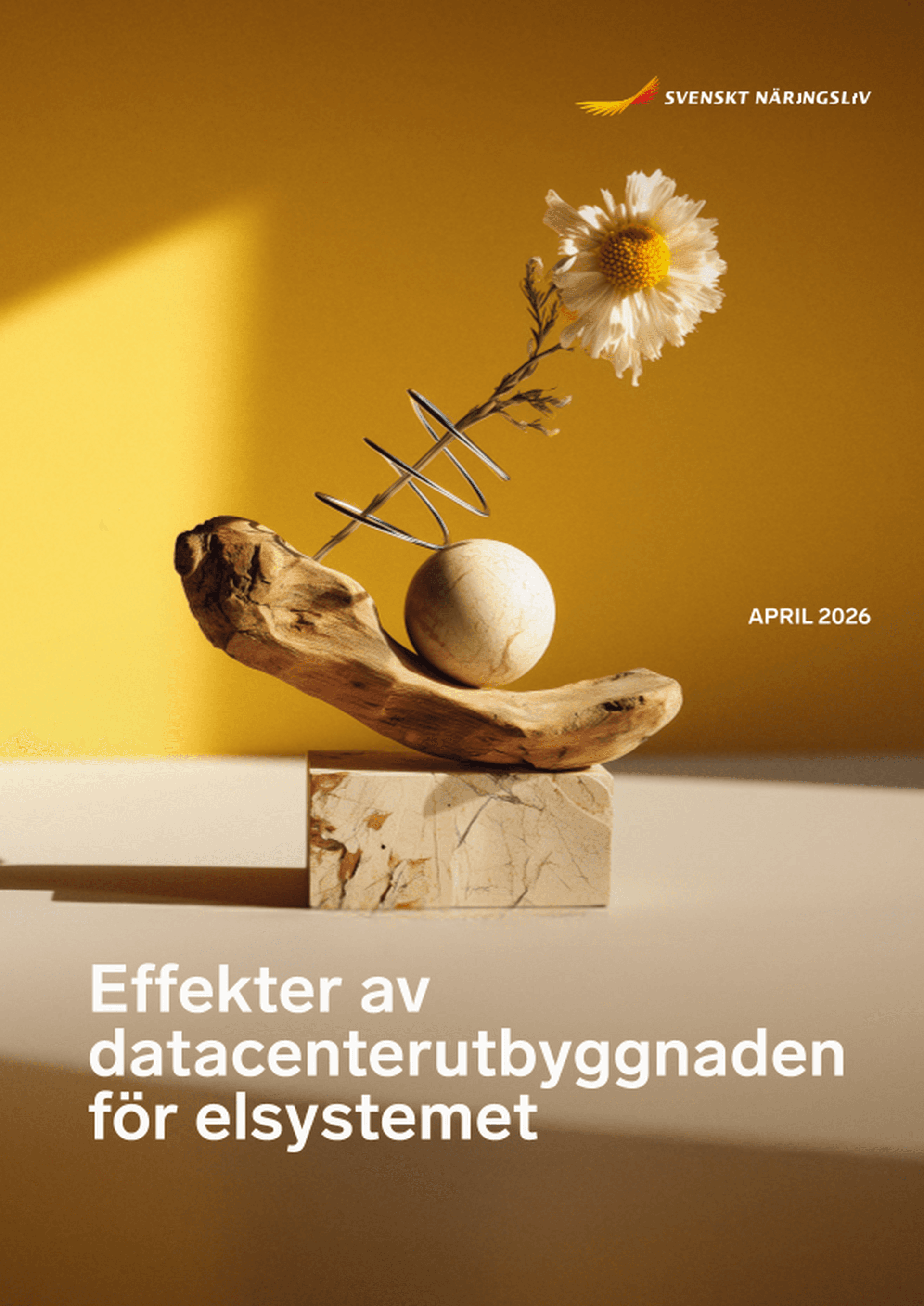 Omslagsbild - Rapport