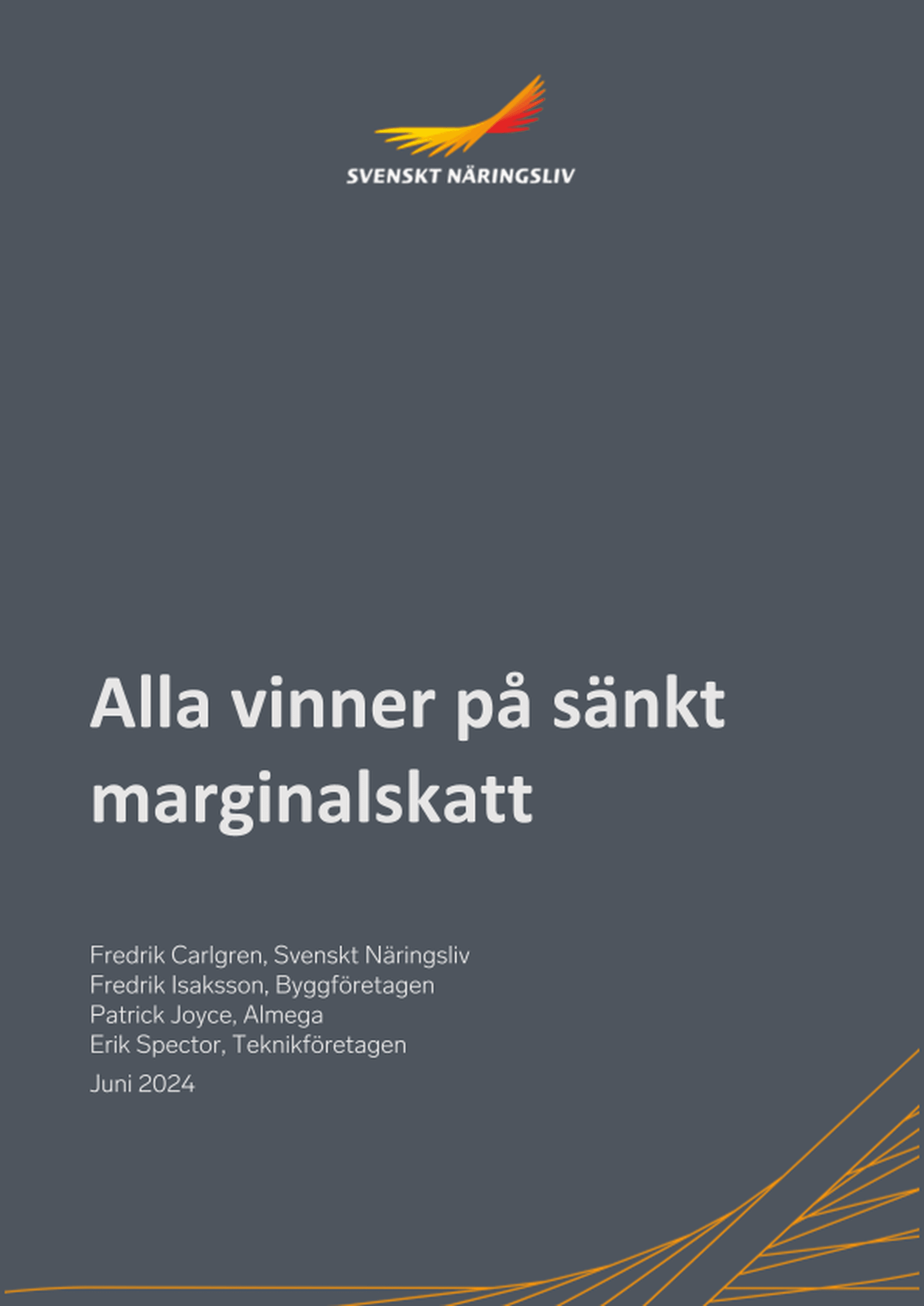 Omslagsbild - Rapport