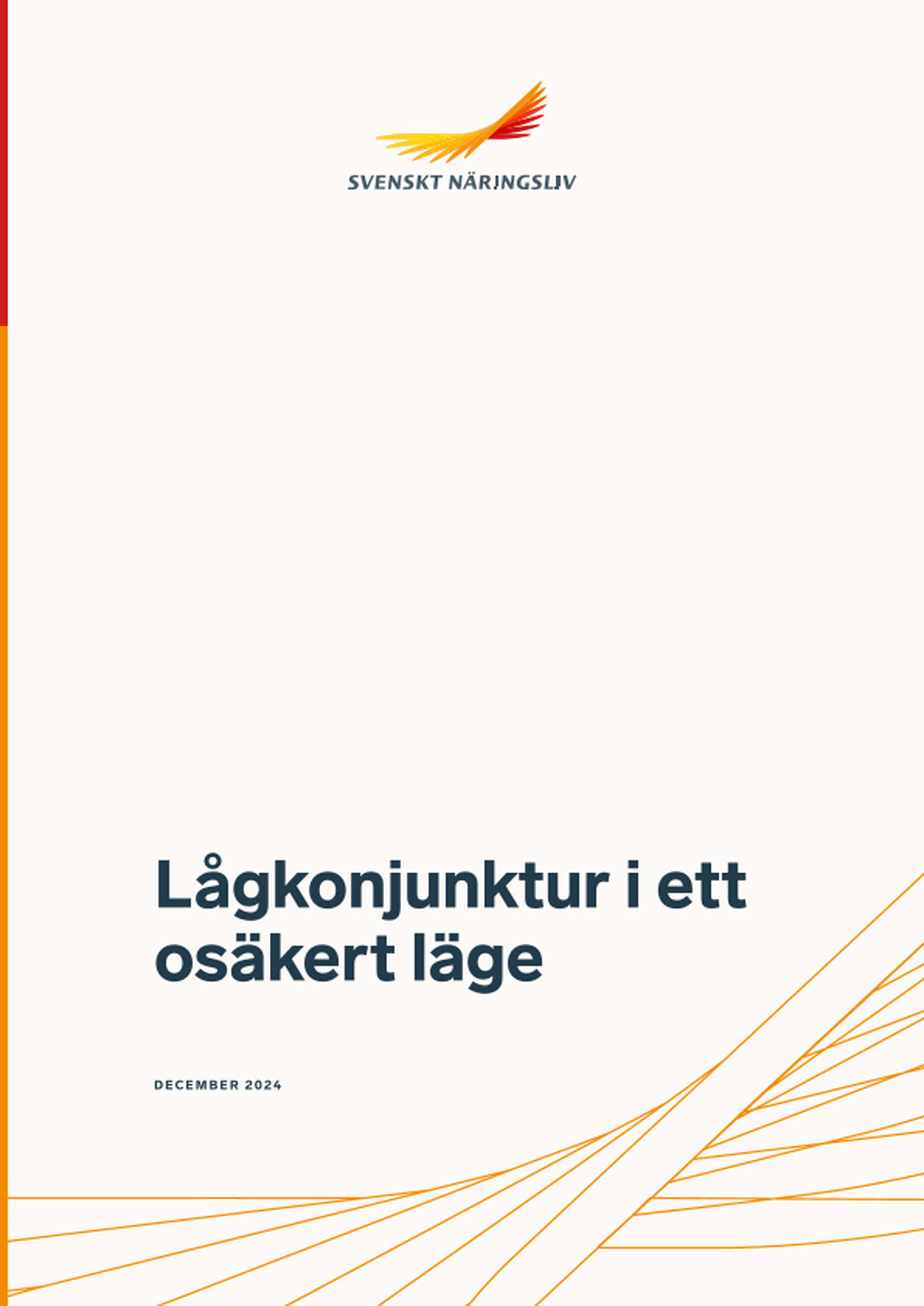 Omslagsbild - Rapport