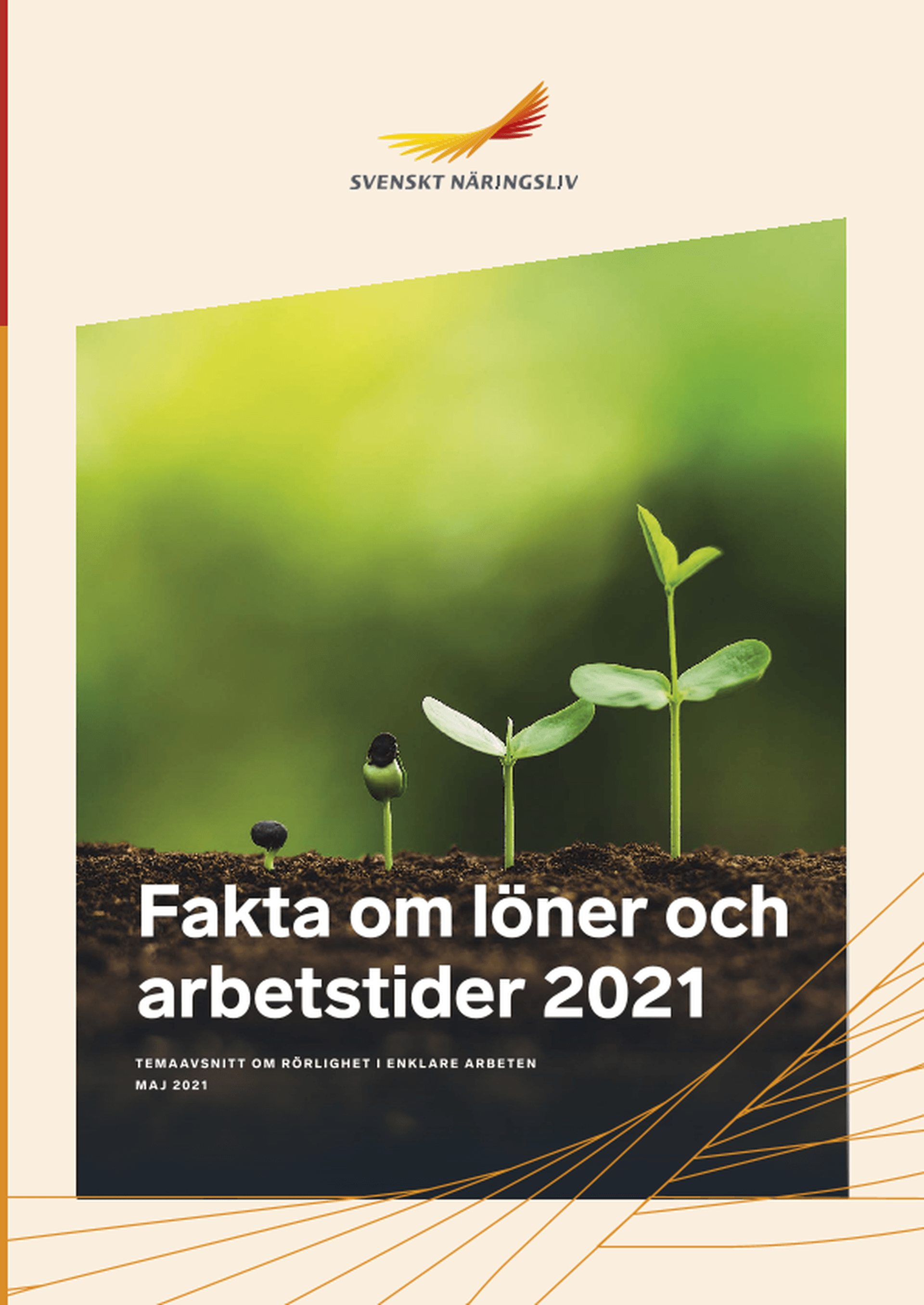 Omslagsbild - Rapport