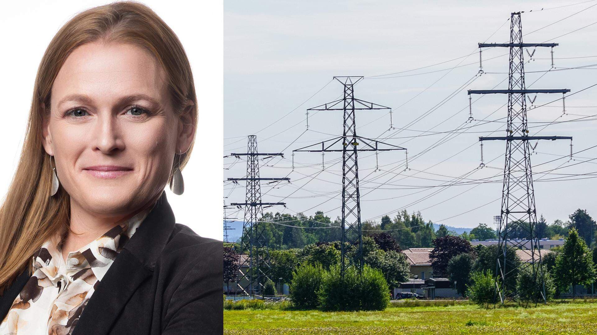 Elanvändning