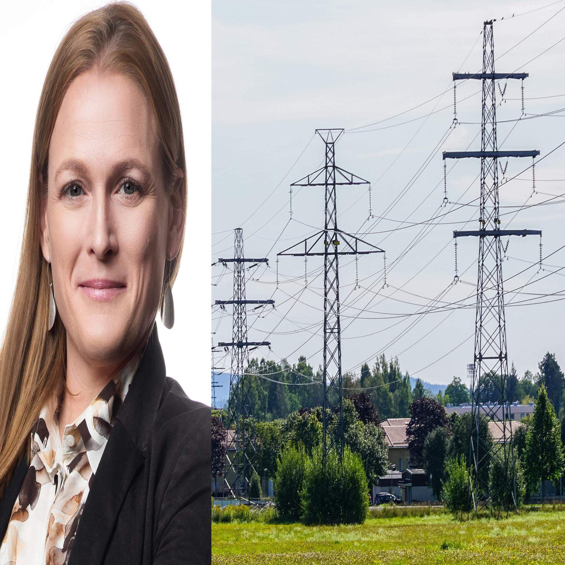 Elanvändning
