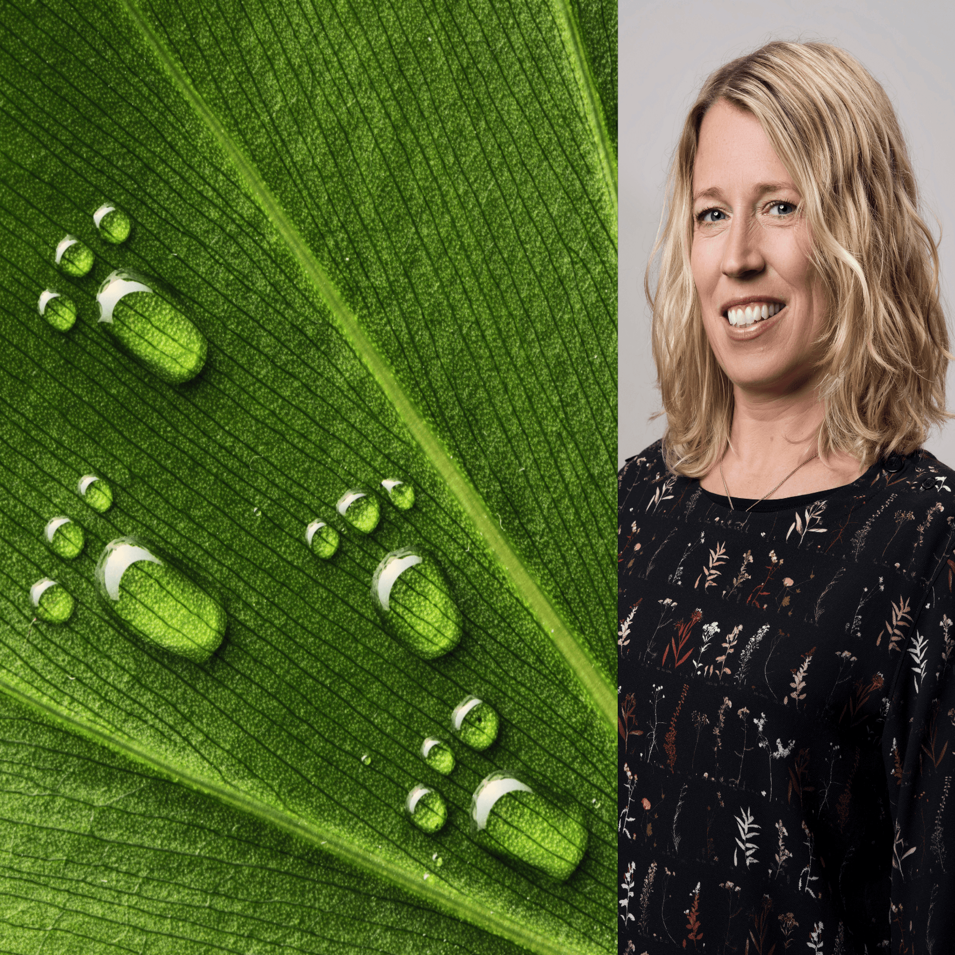 Jenny Svärd och vattenfotspår på ett blad