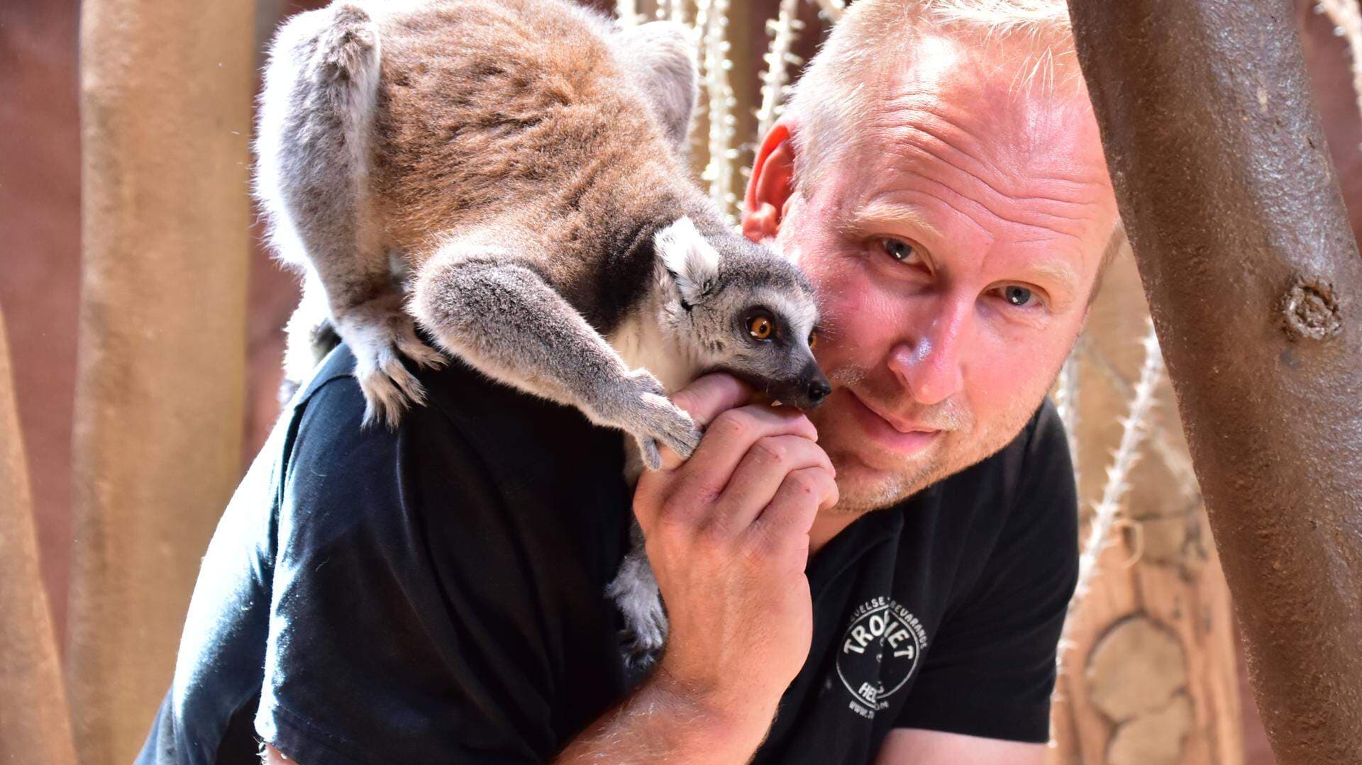 Magnus Lindkvist, vd Tropikariet