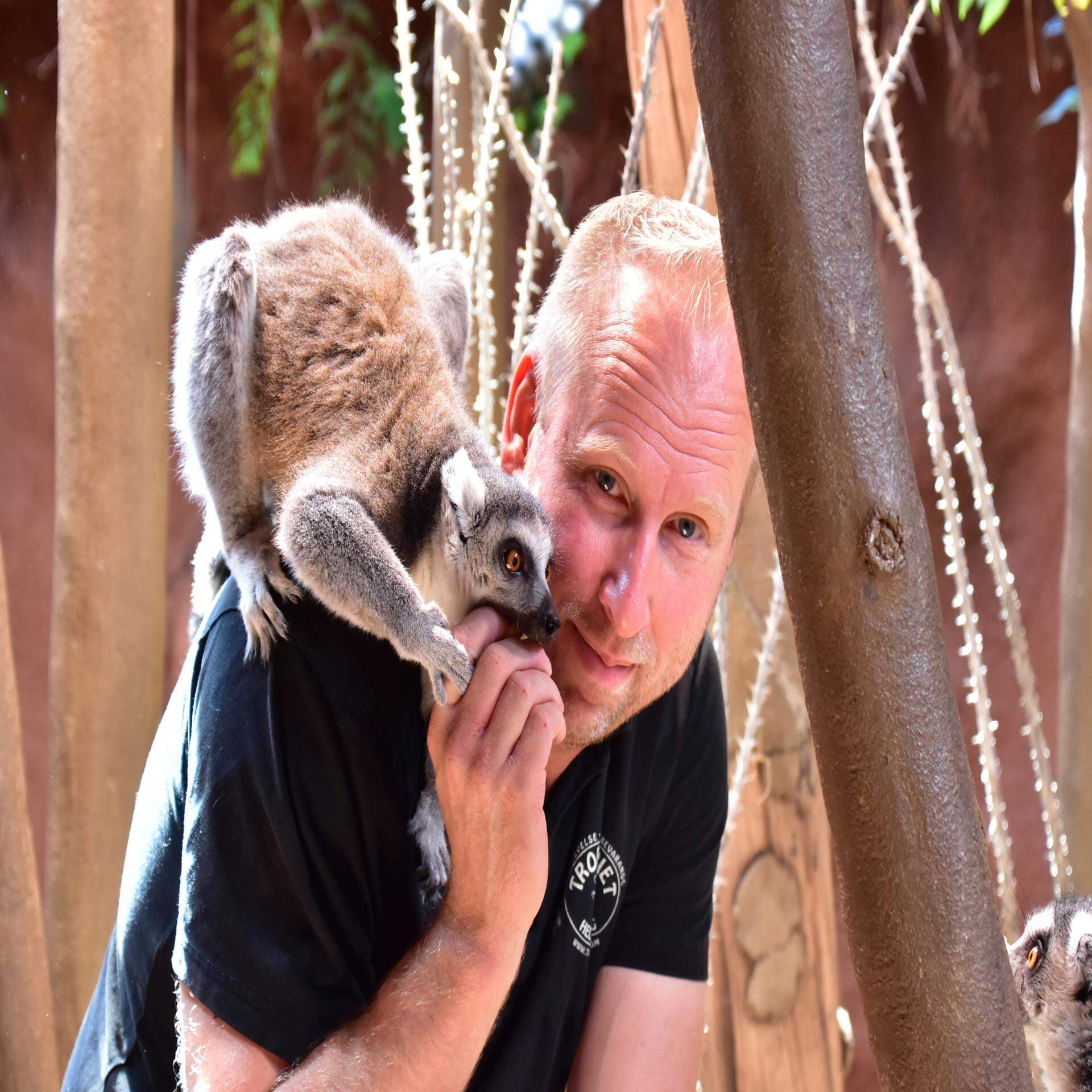 Magnus Lindkvist, vd Tropikariet