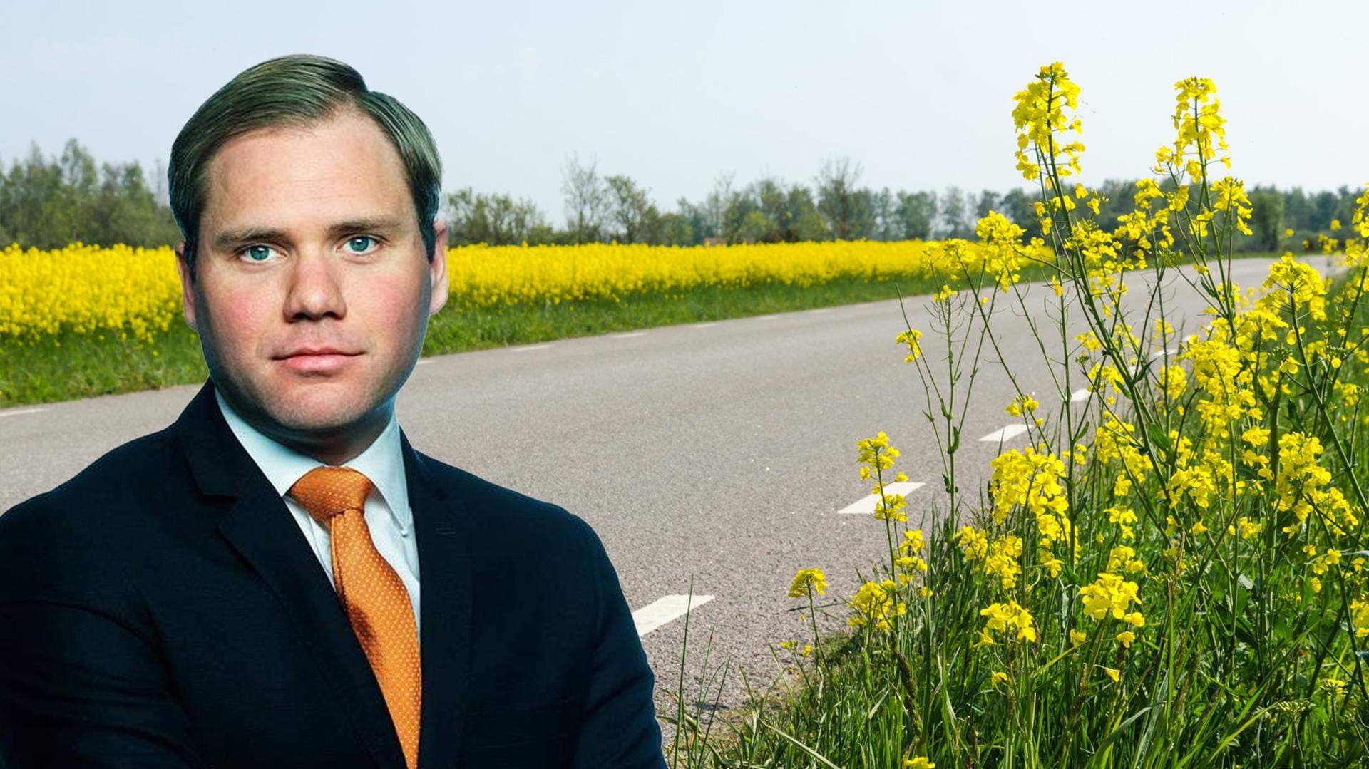 Nils Paul rapsfält
