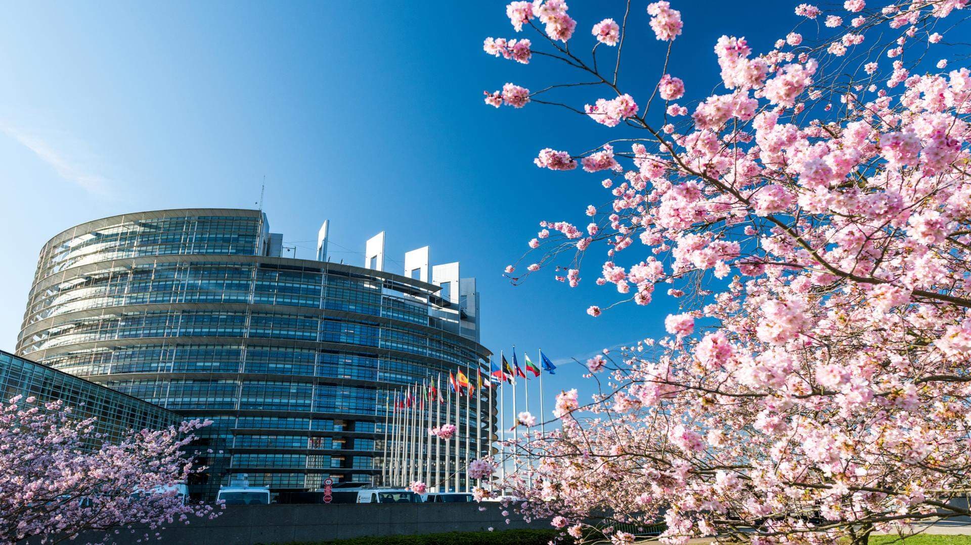 EU-parlamentet.