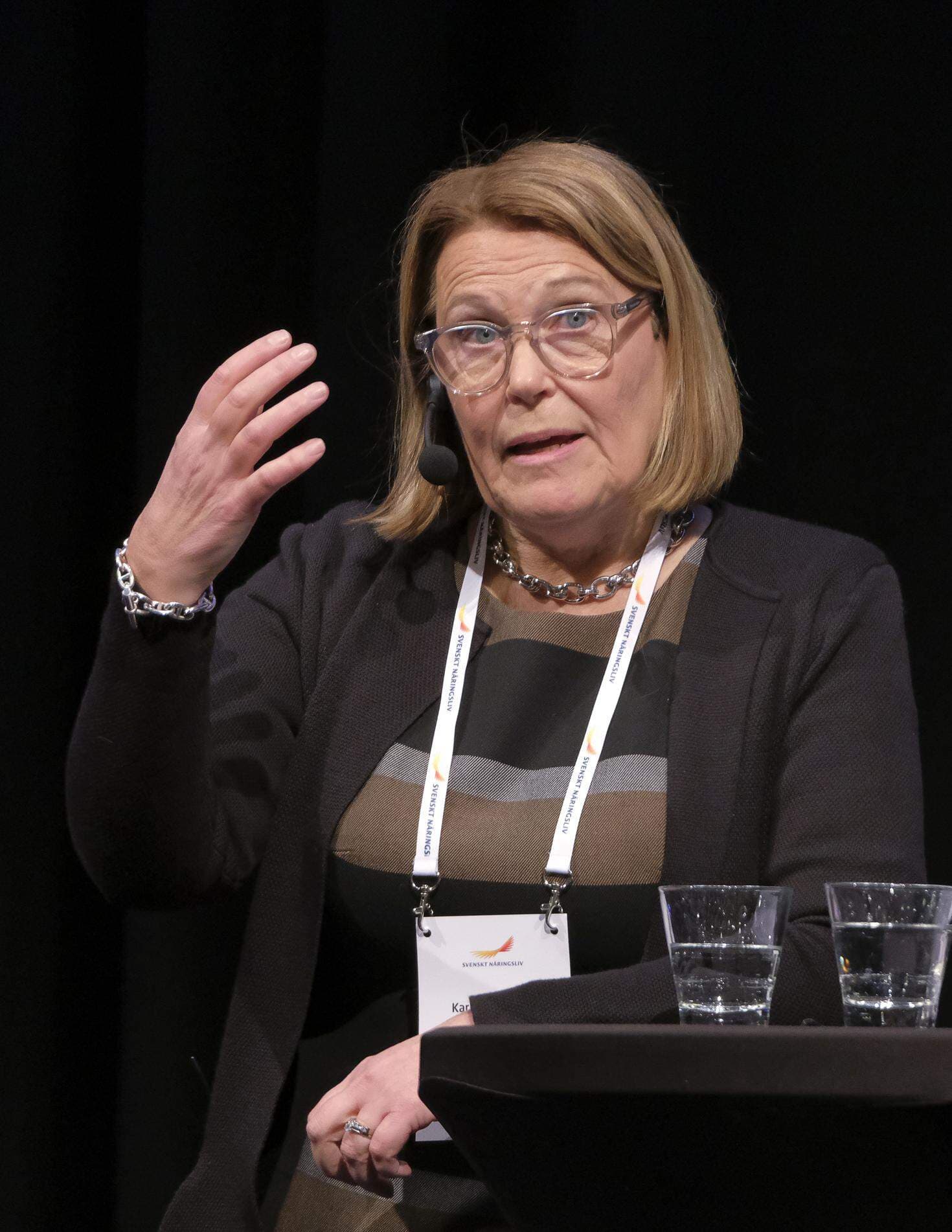 Karin Johansson, vice vd, talar på Svenskt Näringslivs event Företagardagarna.