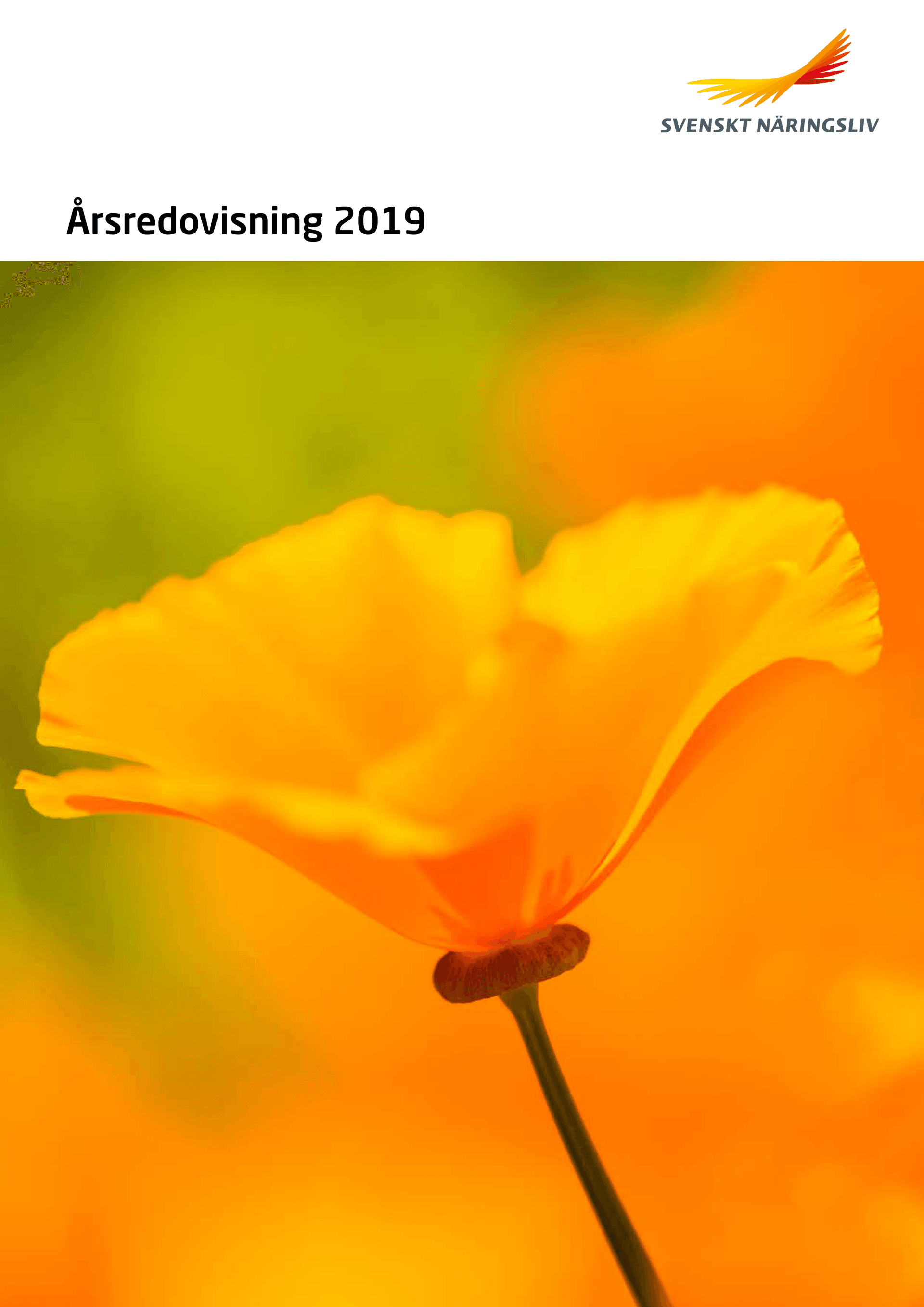 Arsredovisning_2019_Webb.pdf.png
