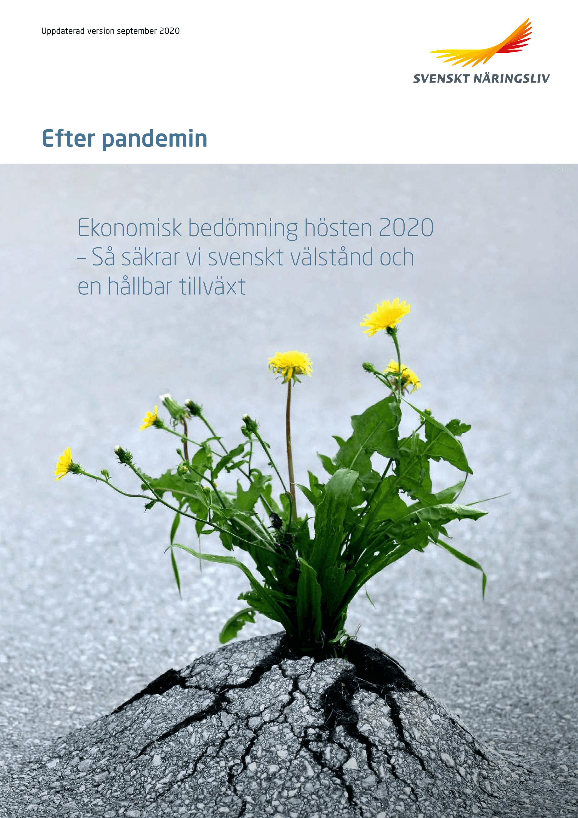Efter_pandemin_ekonomisk_bedomning_2020_webb.pdf.png