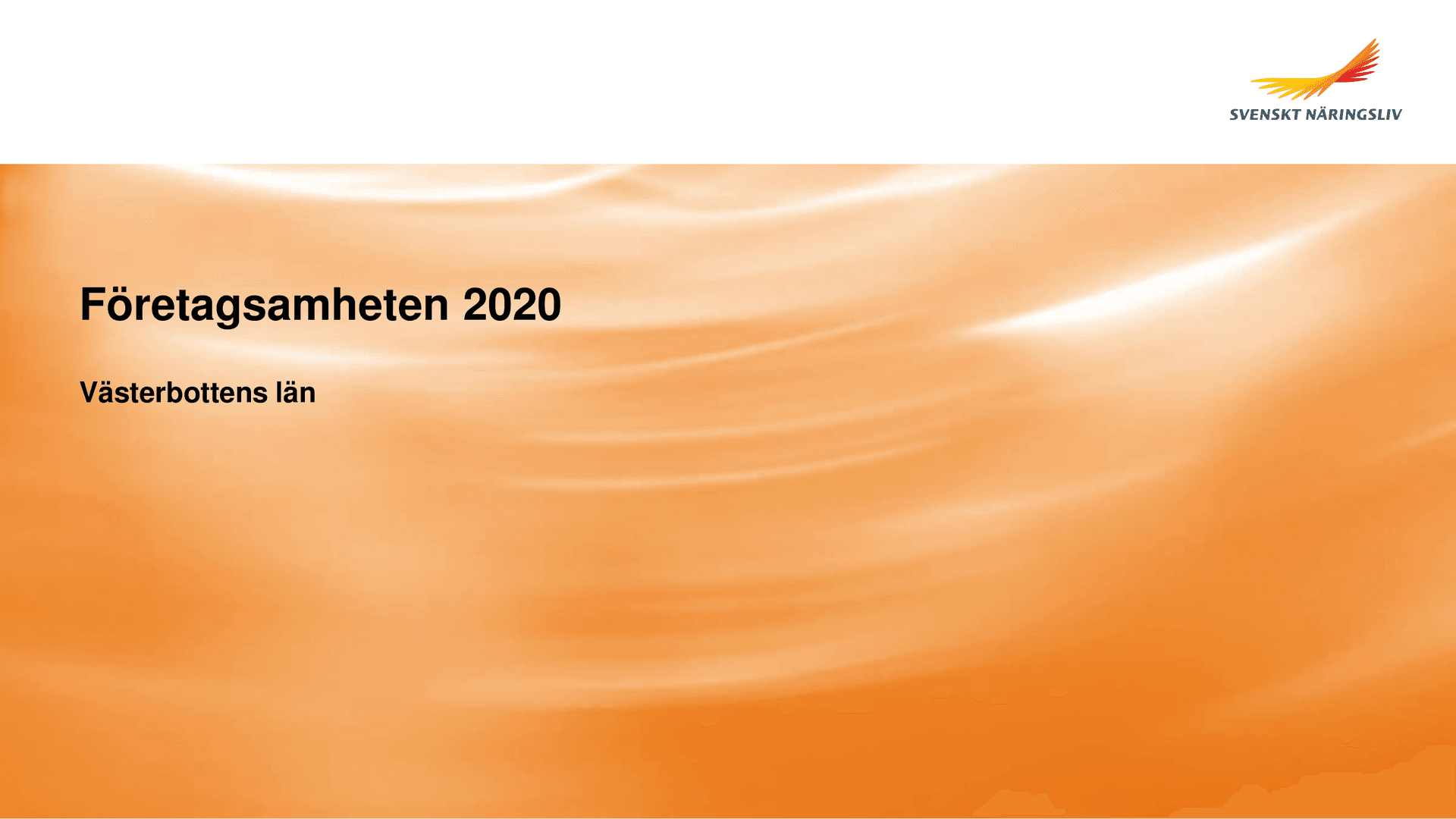 Foretagsamheten_Vasterbotten_2020.pdf.png