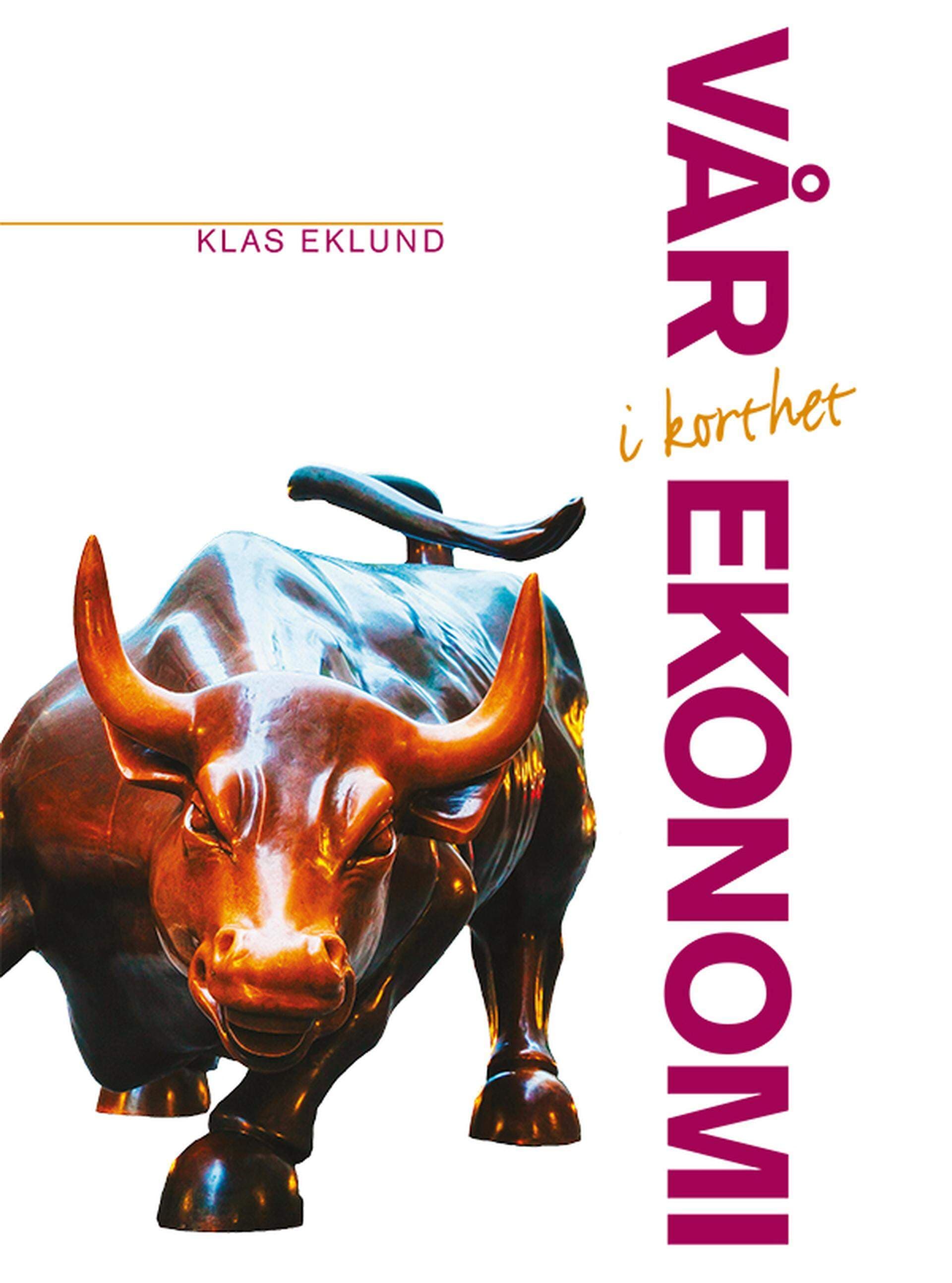 Framsida Vår ekonomi - i korthet