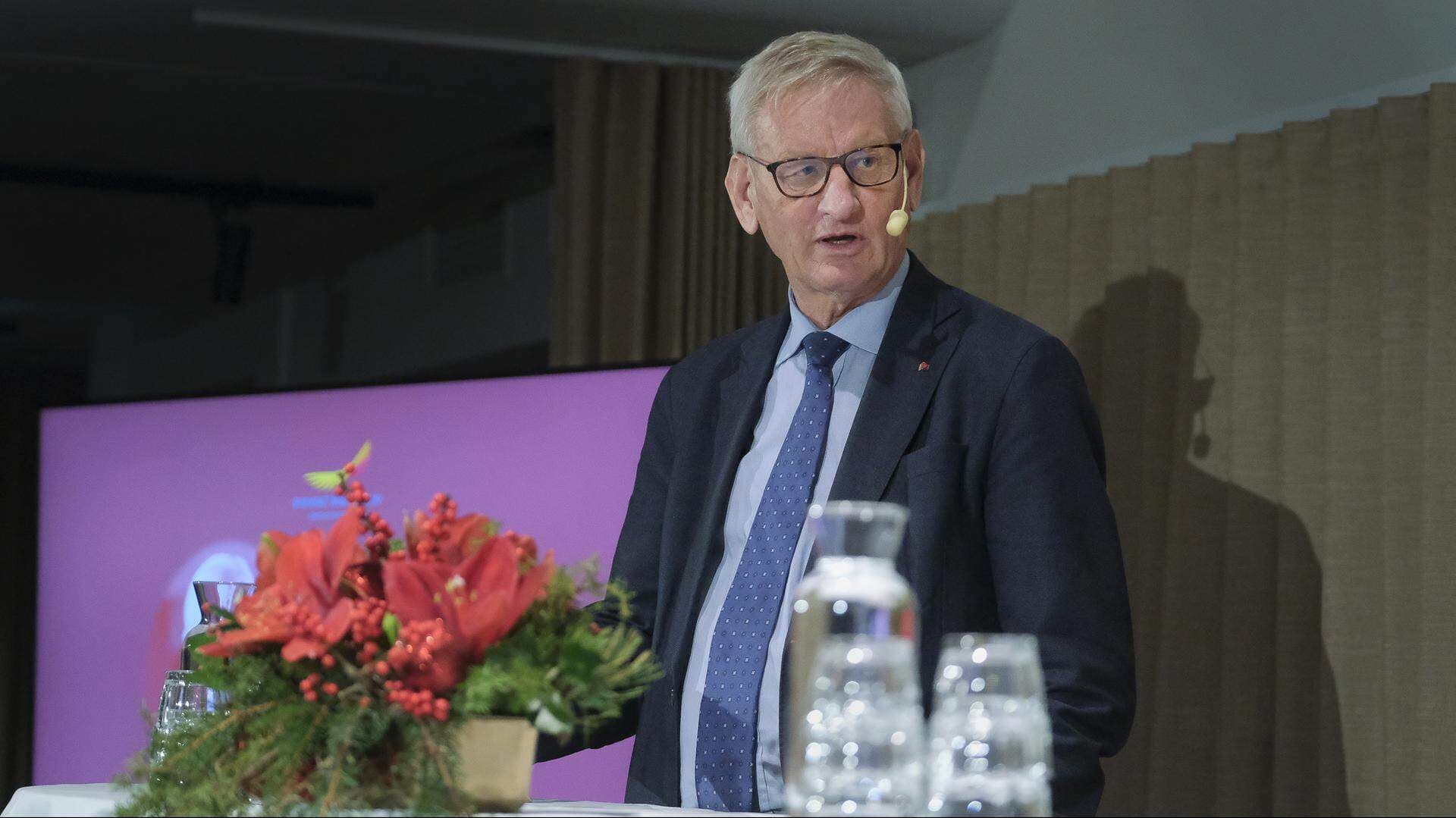 Carl Bildt