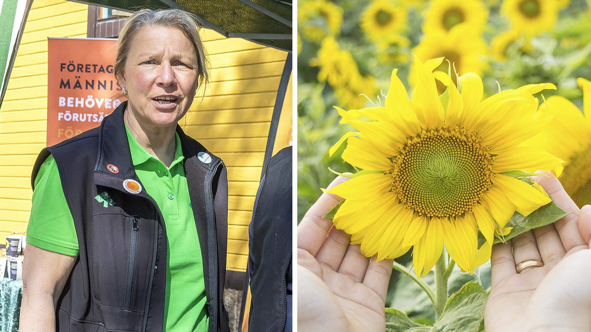 Rose-Marie Winqvist och en solros