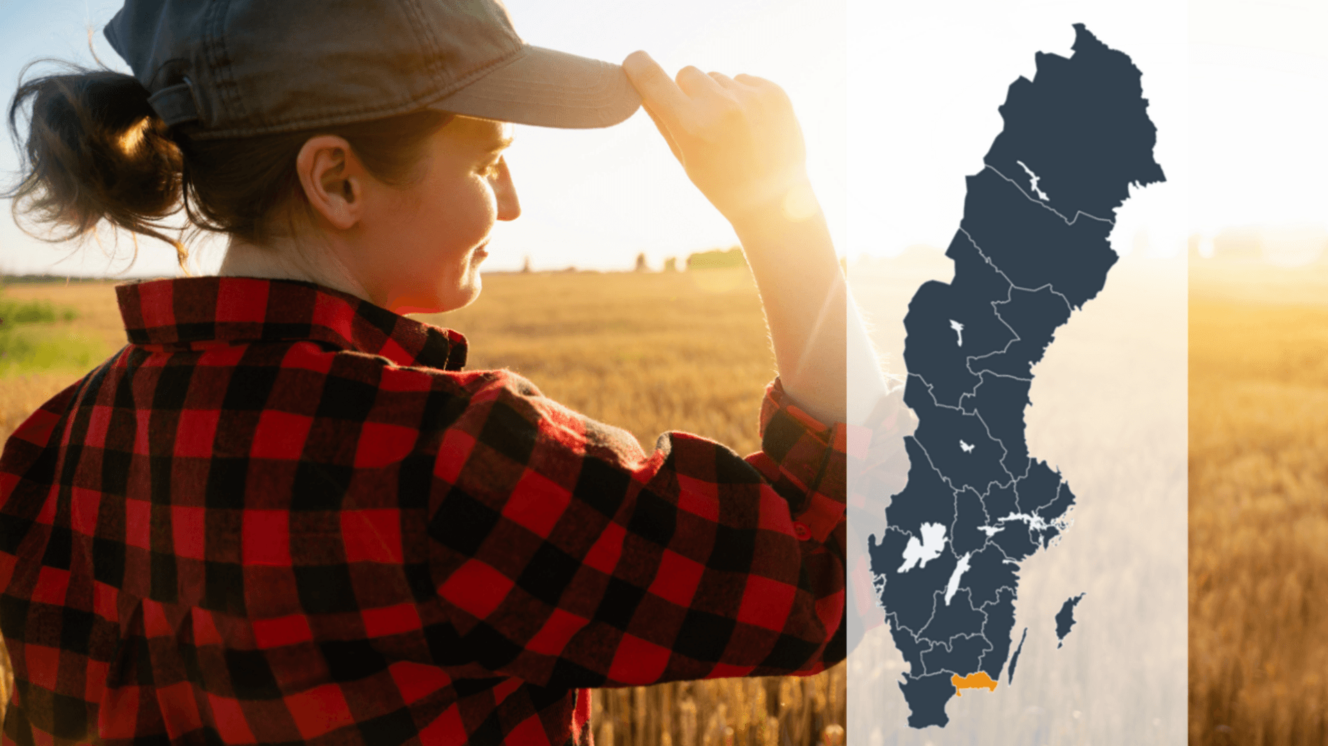 Kollage av en person som blickar ut över ett gult fält tillsammans med en Sverigekarta där Blekinge län är markerat