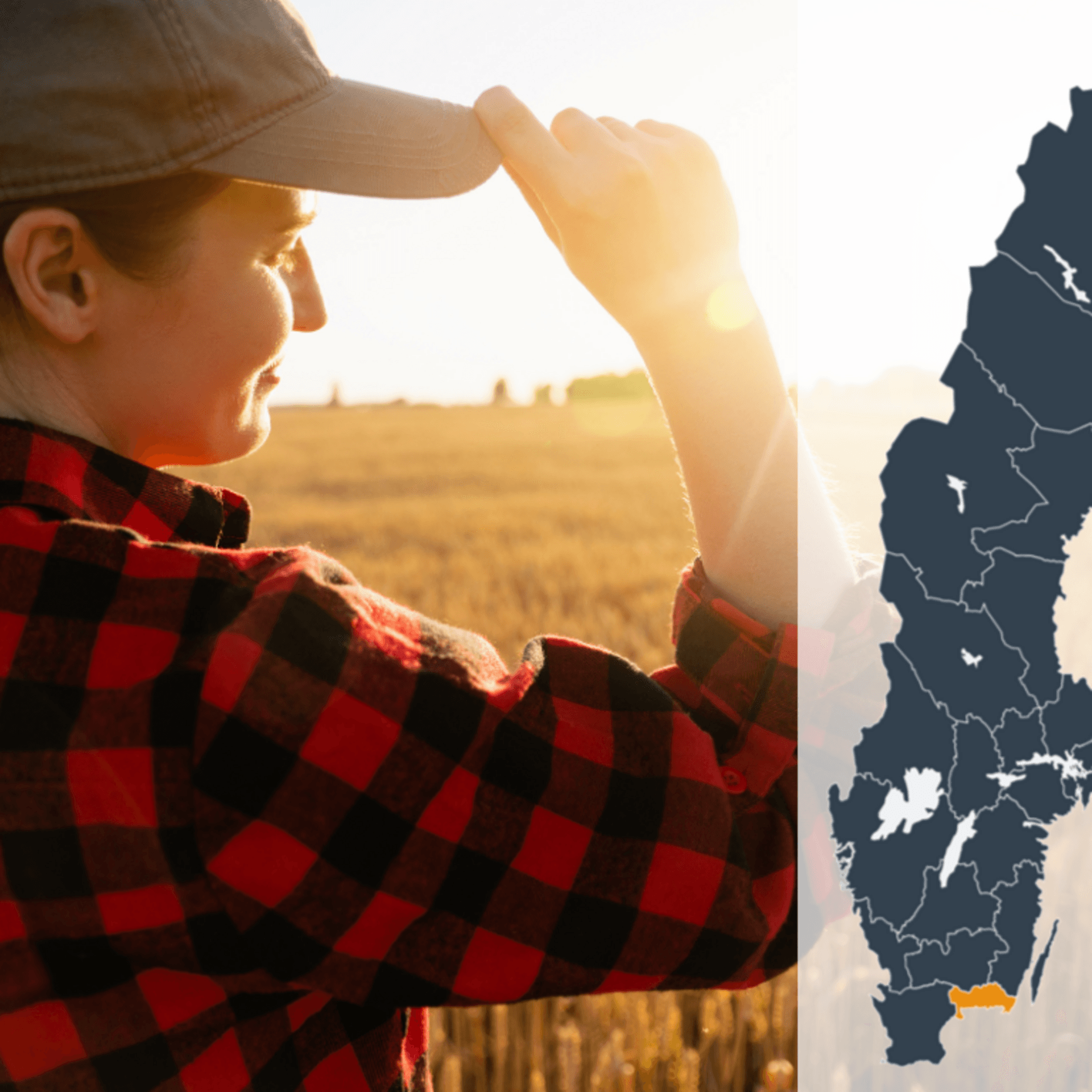 Kollage av en person som blickar ut över ett gult fält tillsammans med en Sverigekarta där Blekinge län är markerat