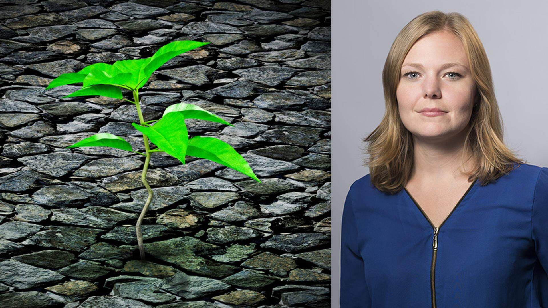 En grön växt och Linda Flink