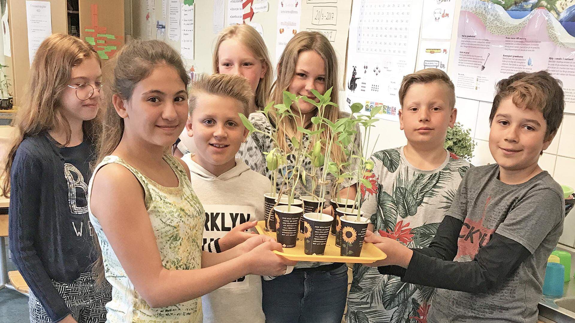 Klass 4C Möllebacksskolan