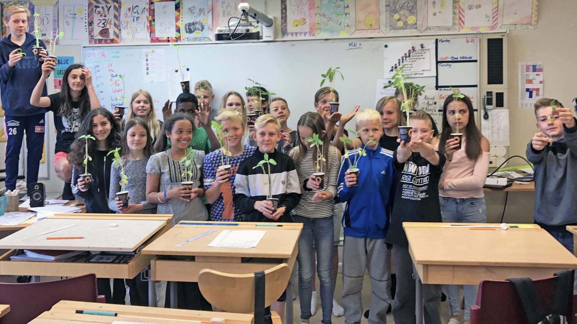 Klass 5C Möllebacksskolan