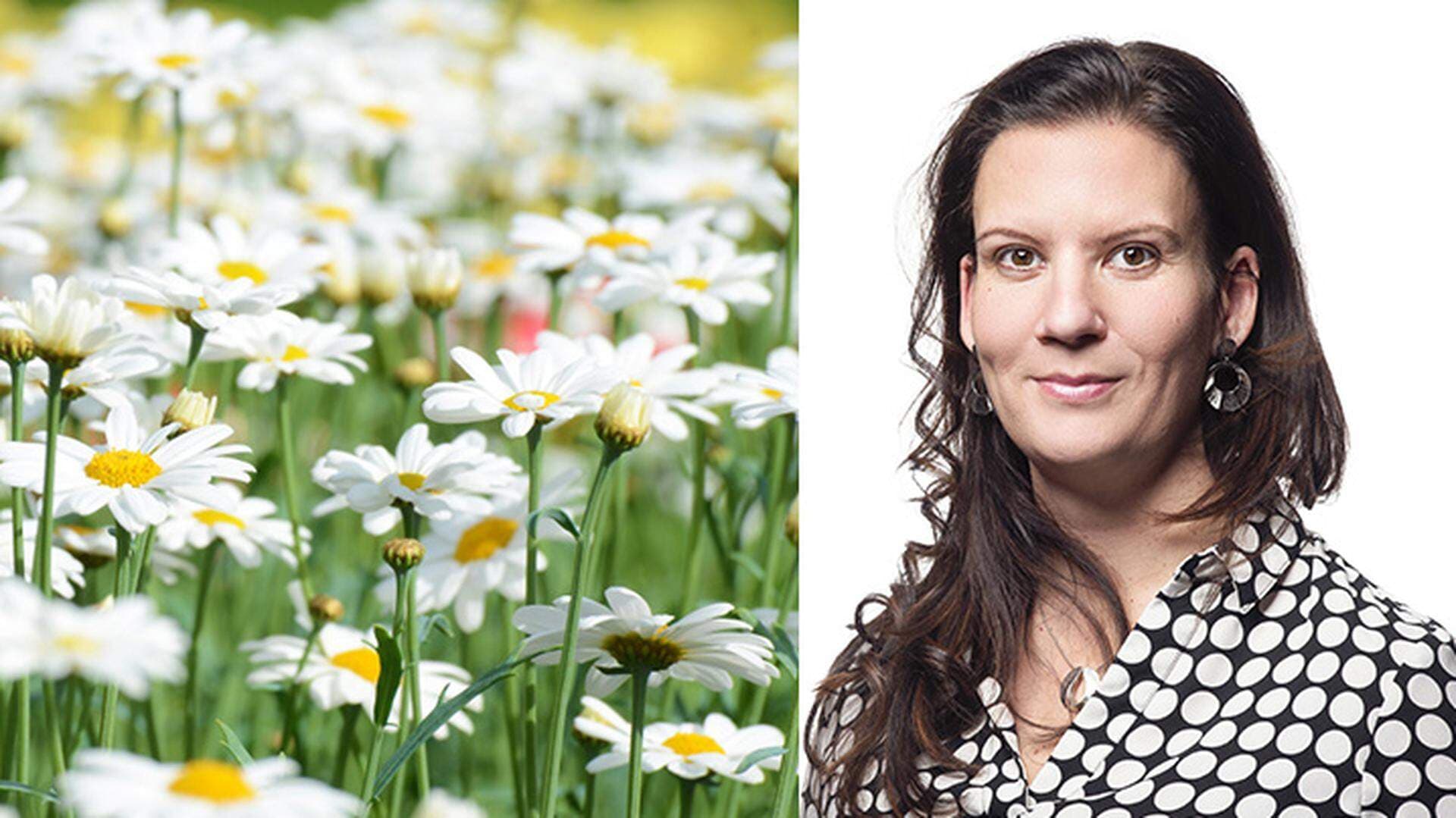 Kollage sommaräng och Nina Andersson